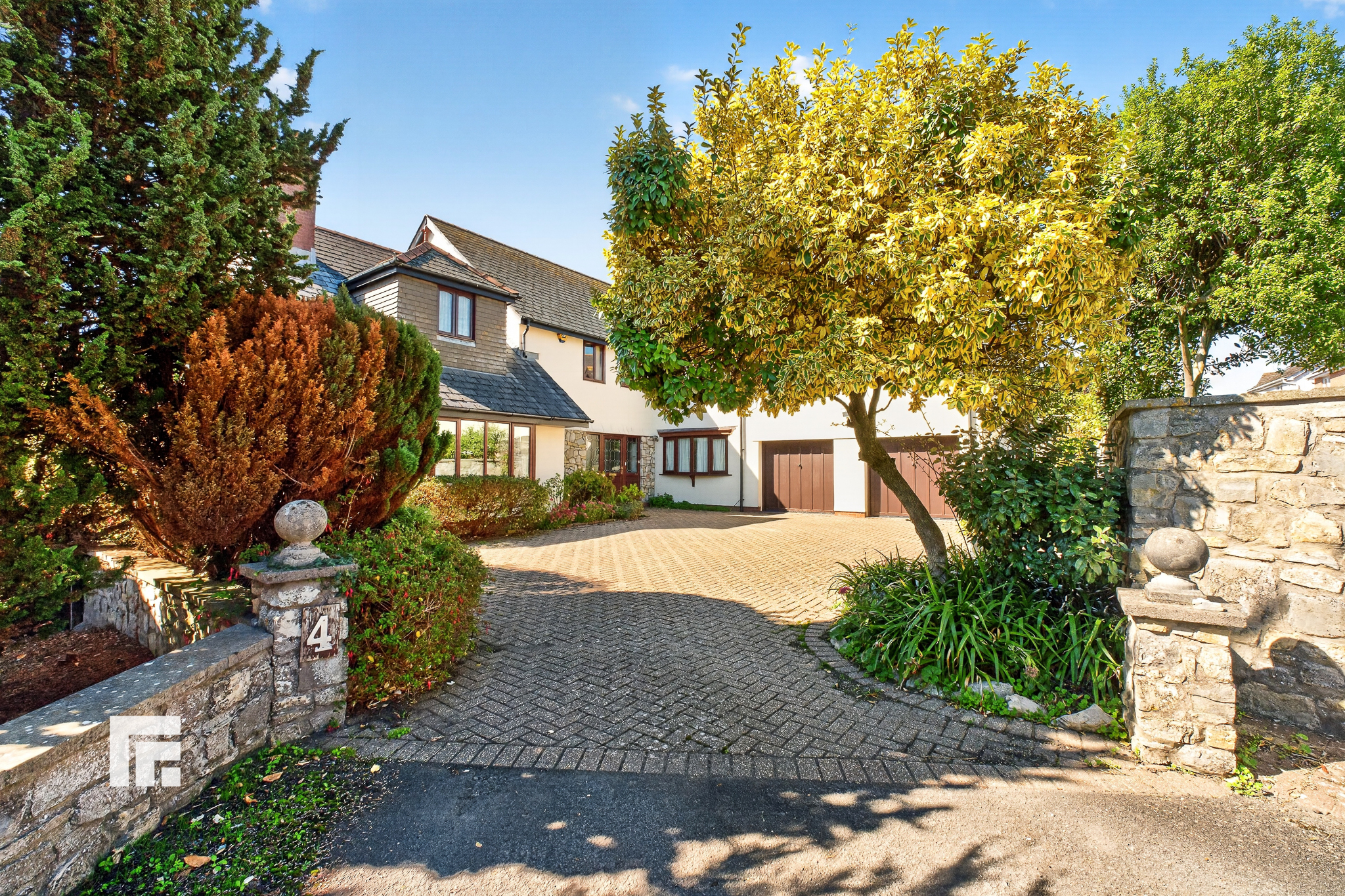 DSCF6371