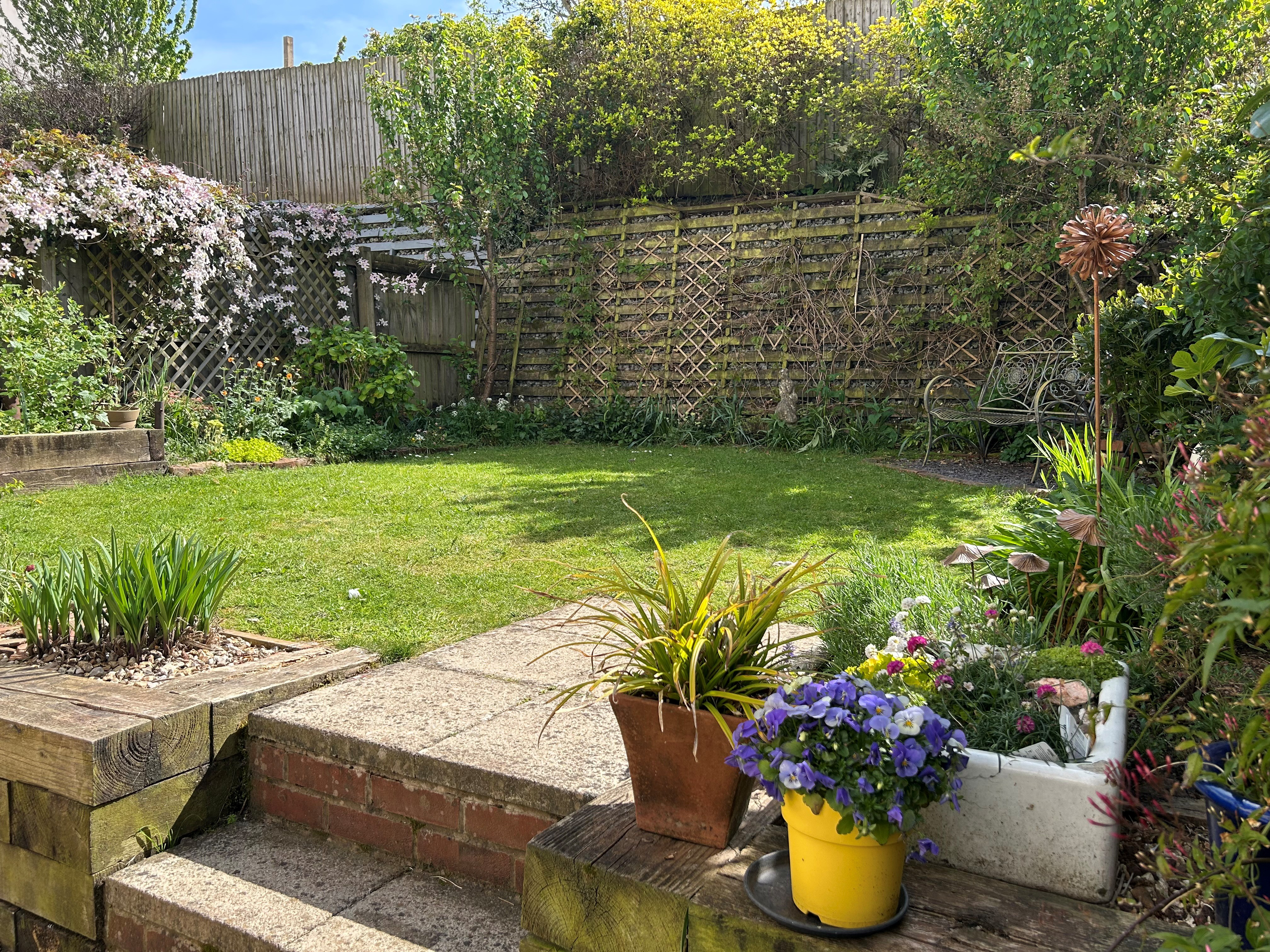Photo 11