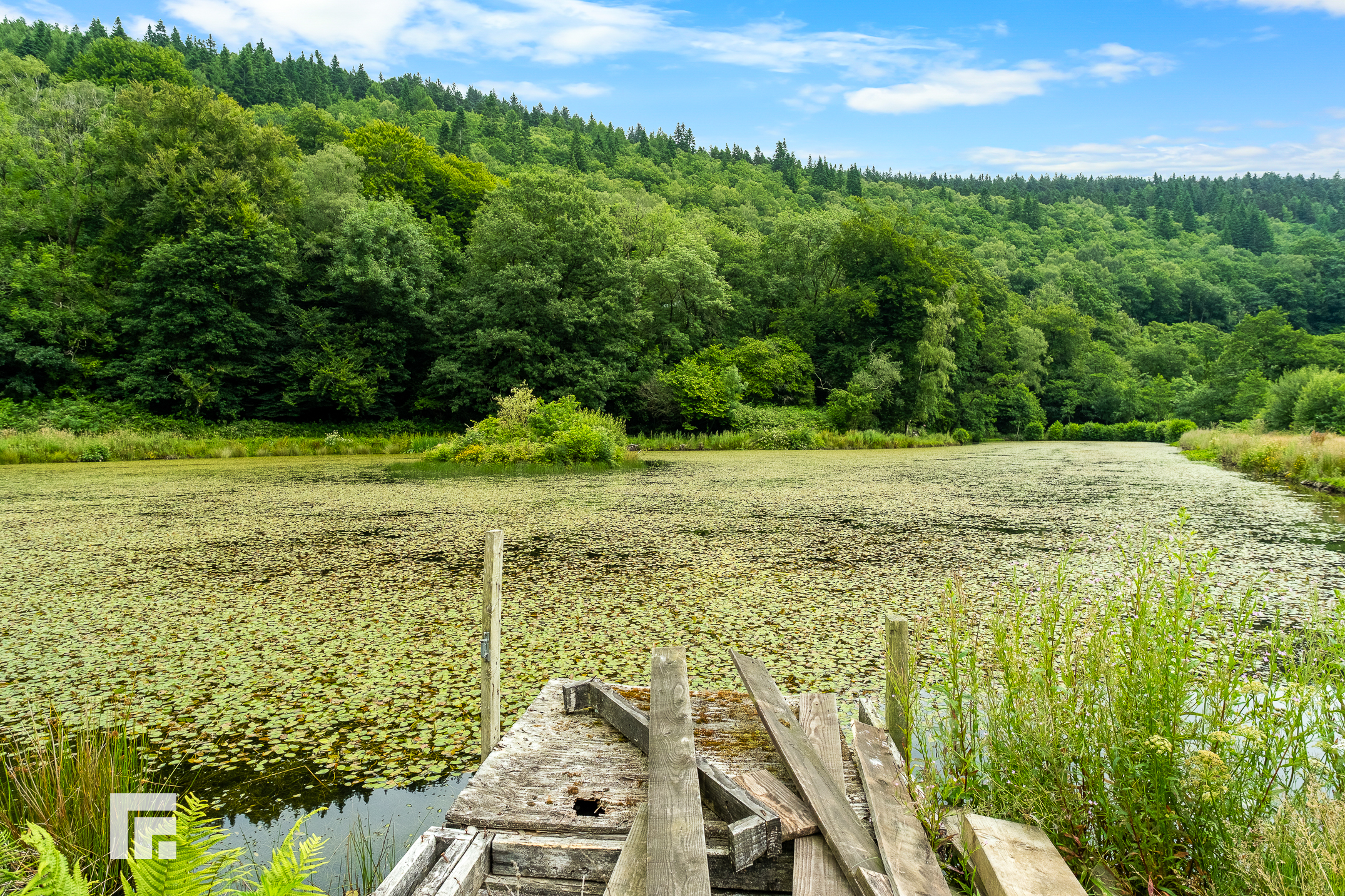Pontygwaith Treharris CF46 5PD, photo 63