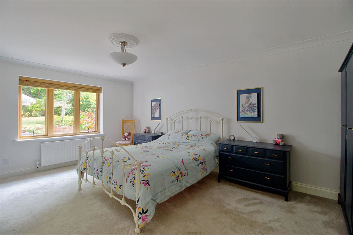 Heath Ride, Finchampstead, photo 18