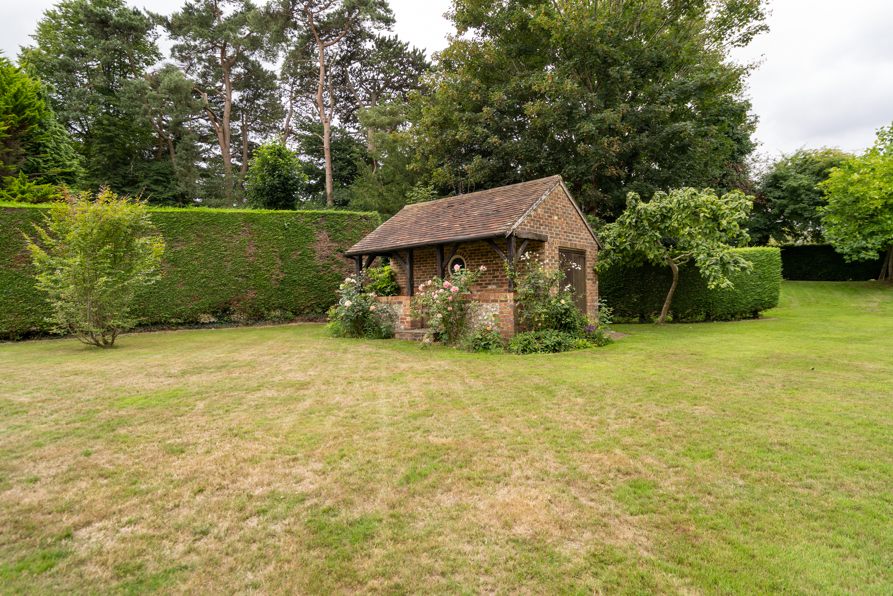 Photo 40