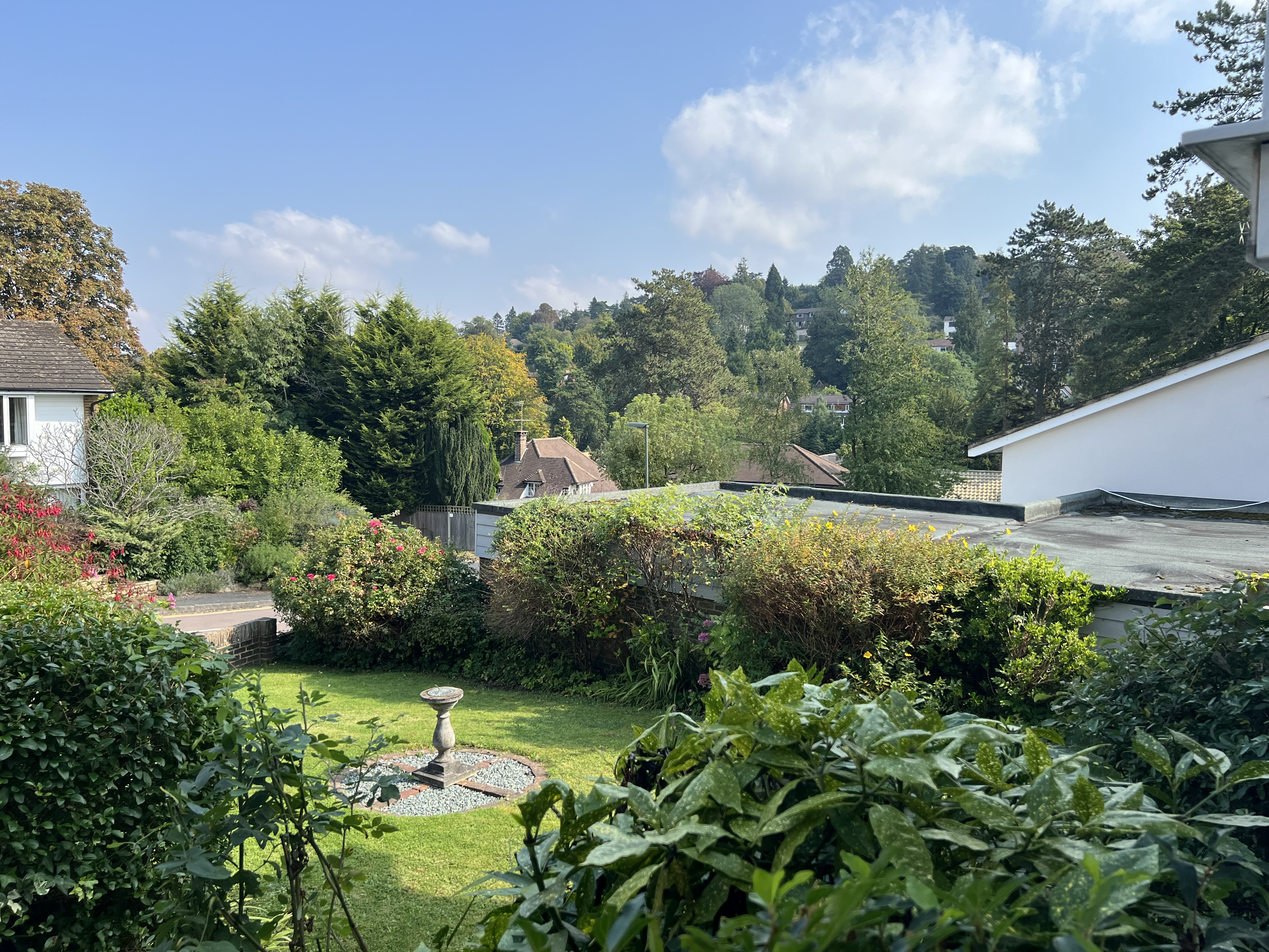 Photo 12