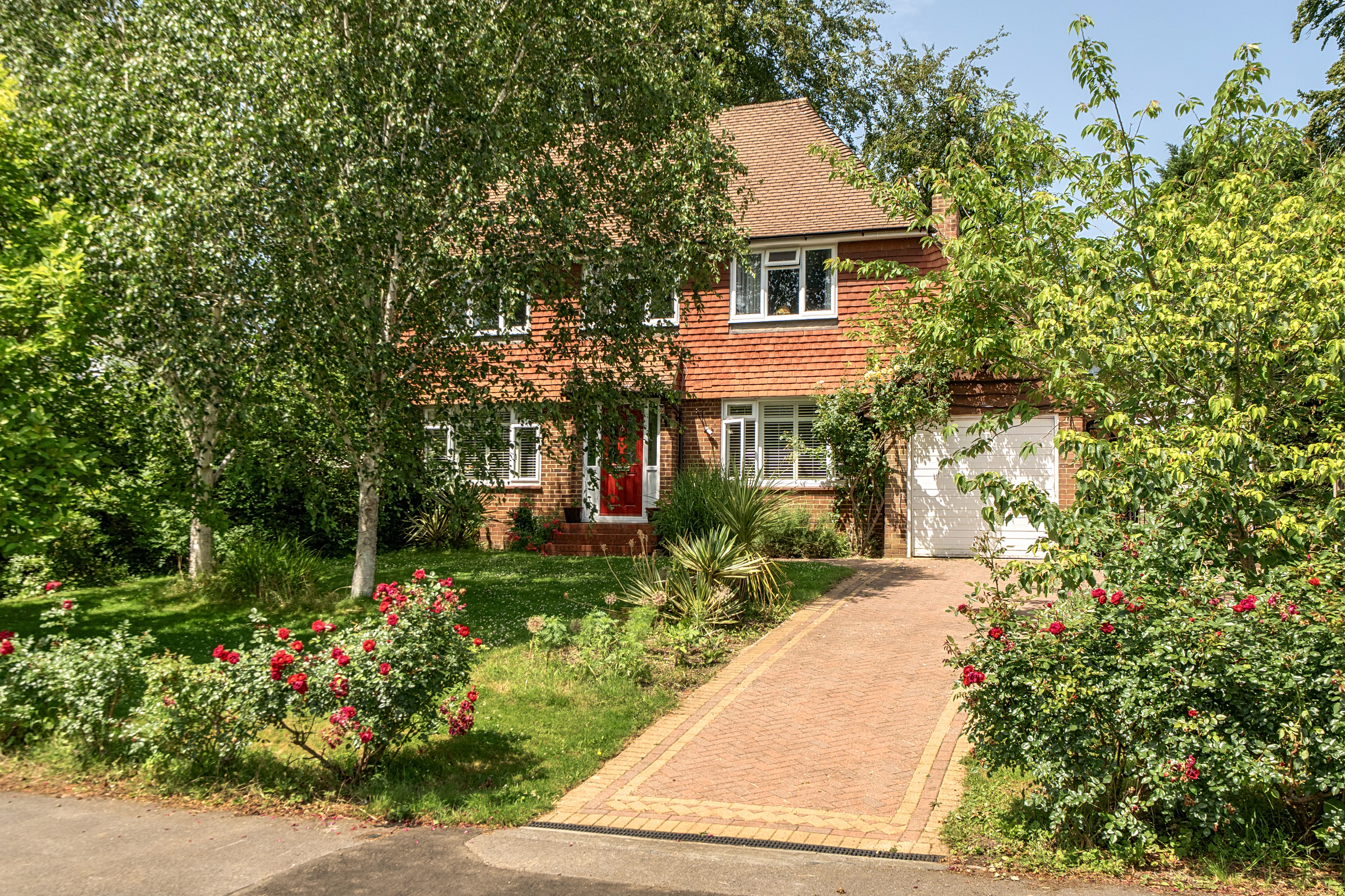 The Netherlands, Coulsdon, CR5