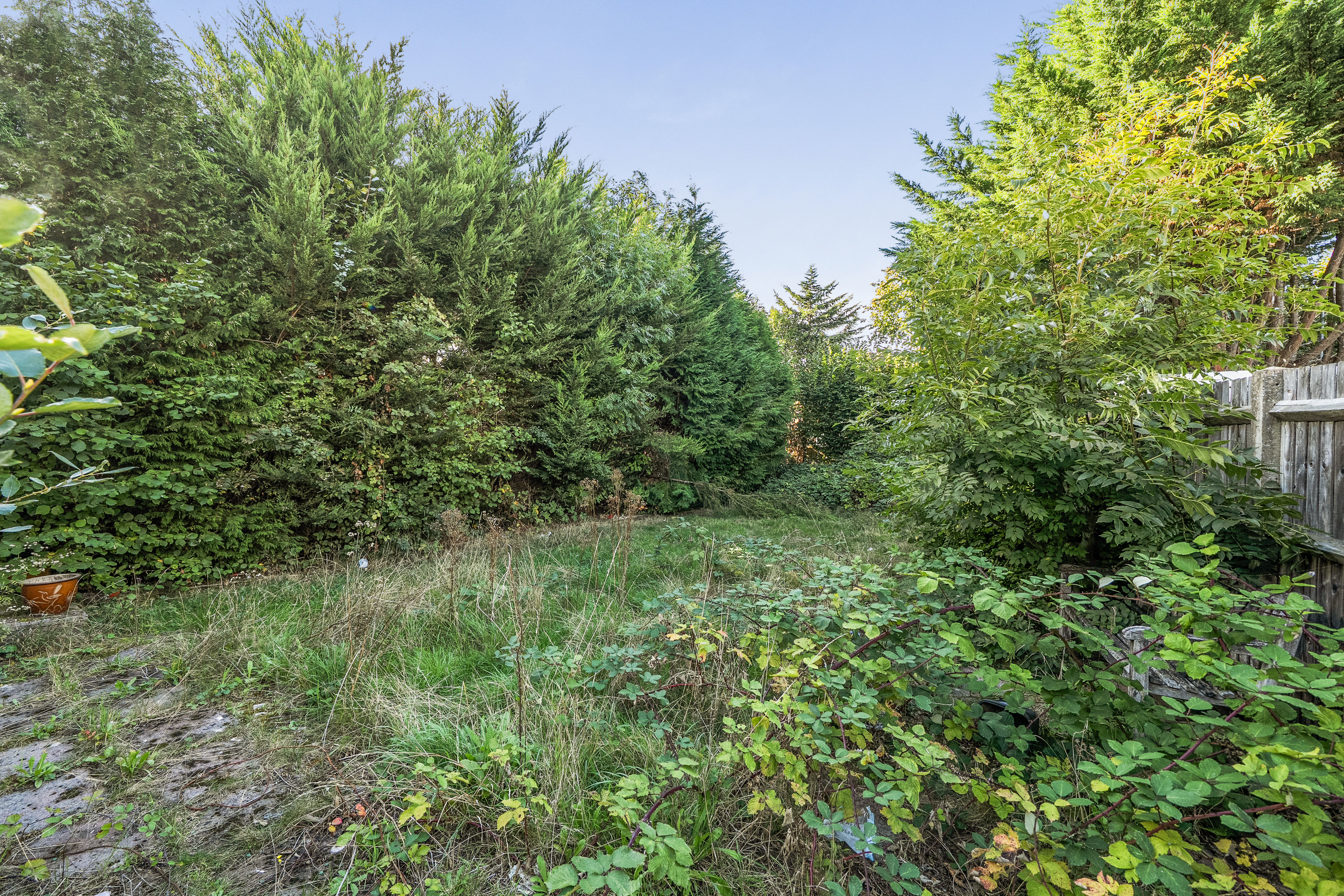 Clyde Avenue, South Croydon, CR2, photo 13