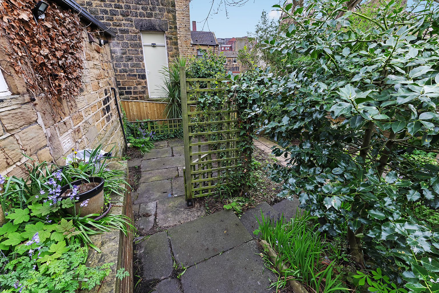 Photo 14