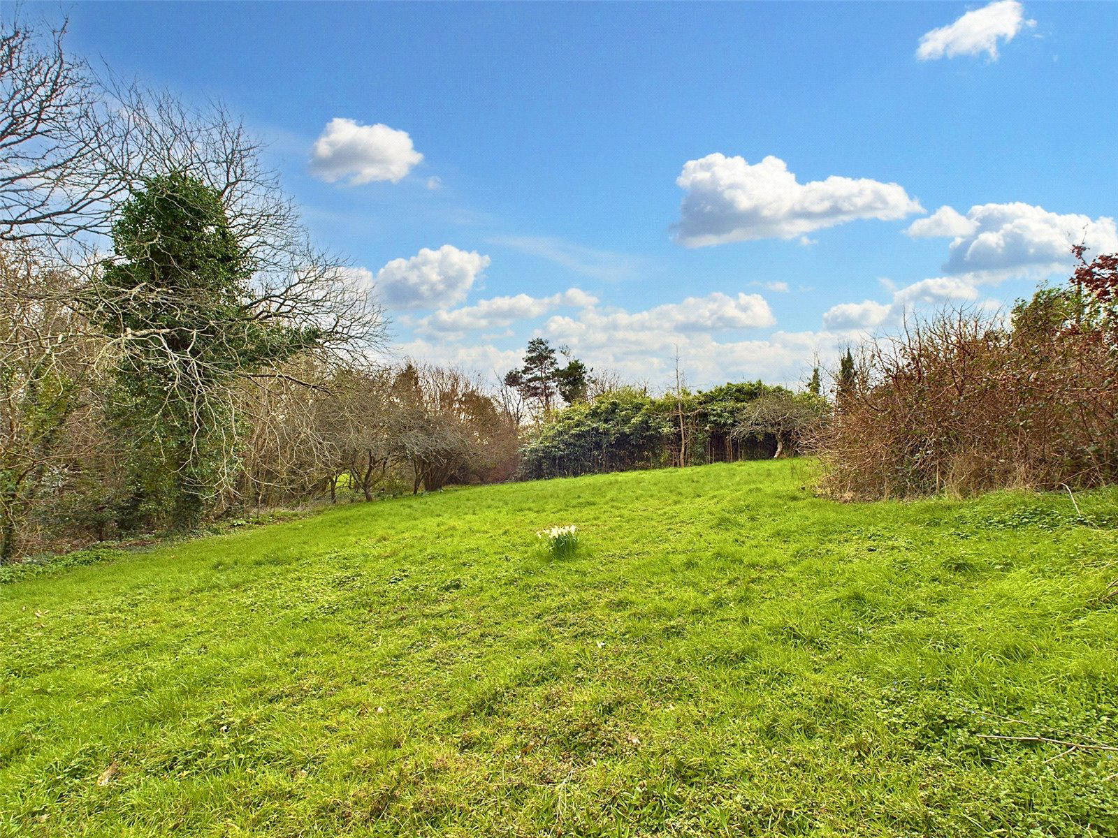 Poughill, Bude, Cornwall, EX23, photo 26