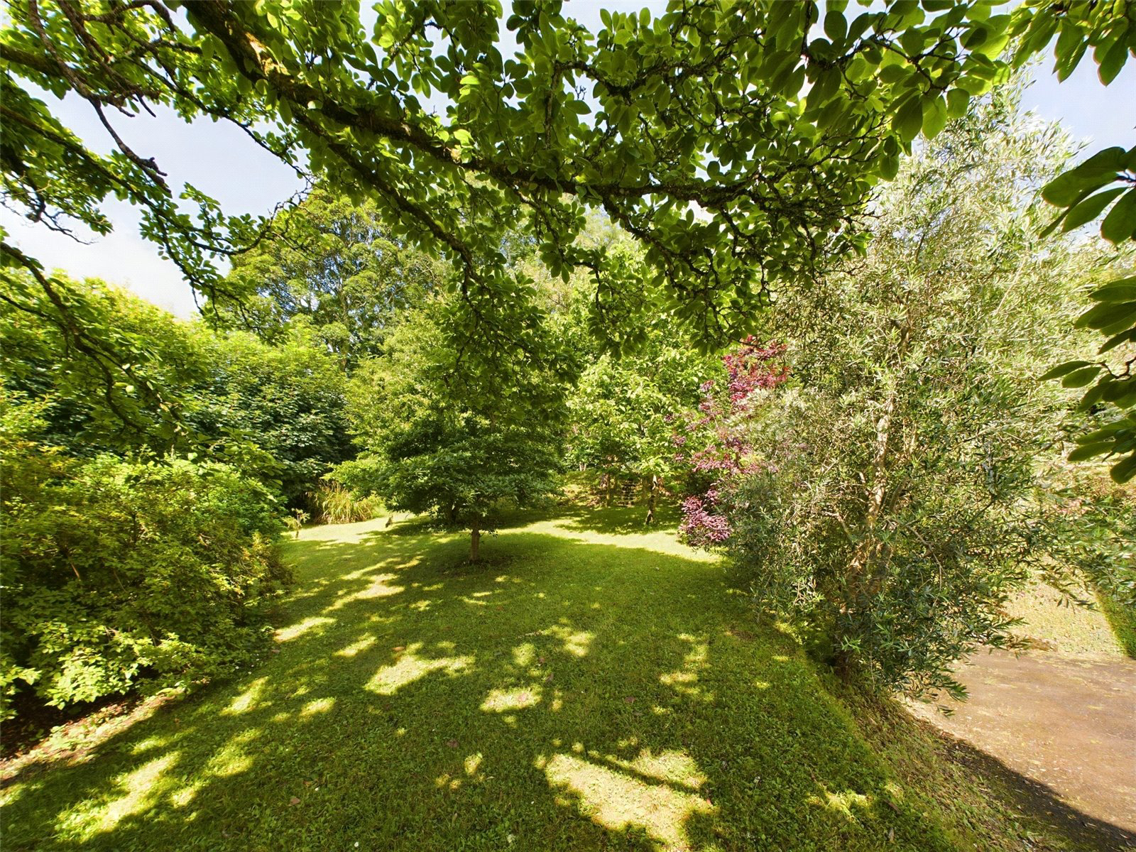 Restormel Road, Lostwithiel, Cornwall, PL22, photo 24