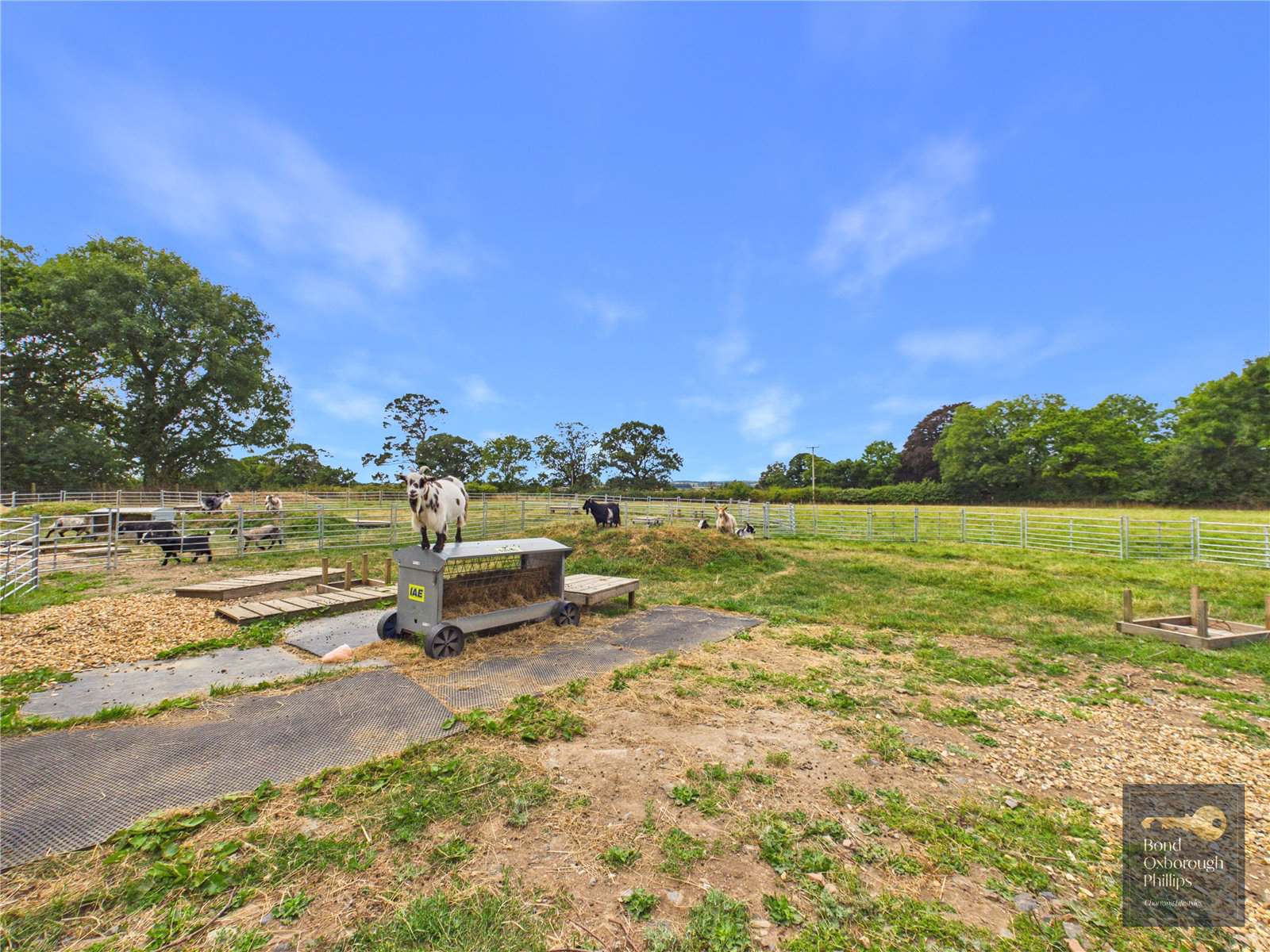 Dowland, Winkleigh, Devon, EX19, photo 50