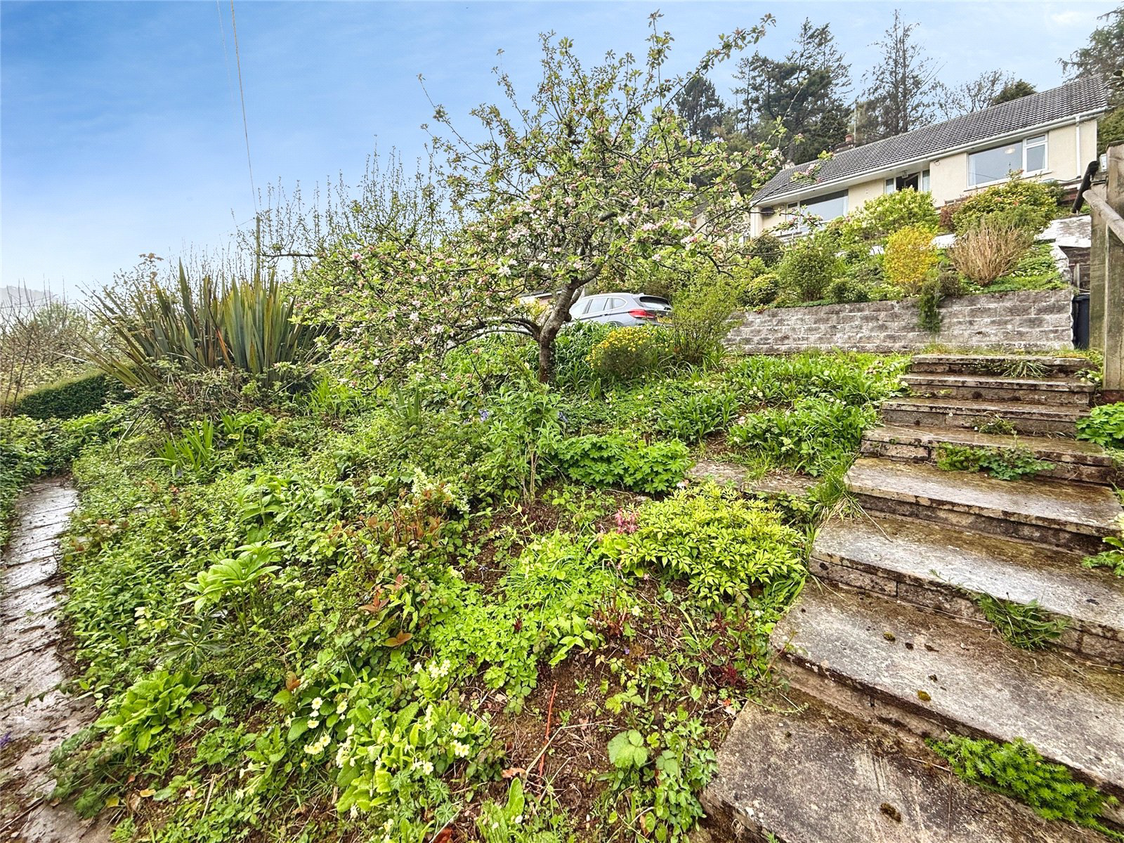 Buzzacott Lane, Combe Martin, Ilfracombe, Devon, EX34, photo 14