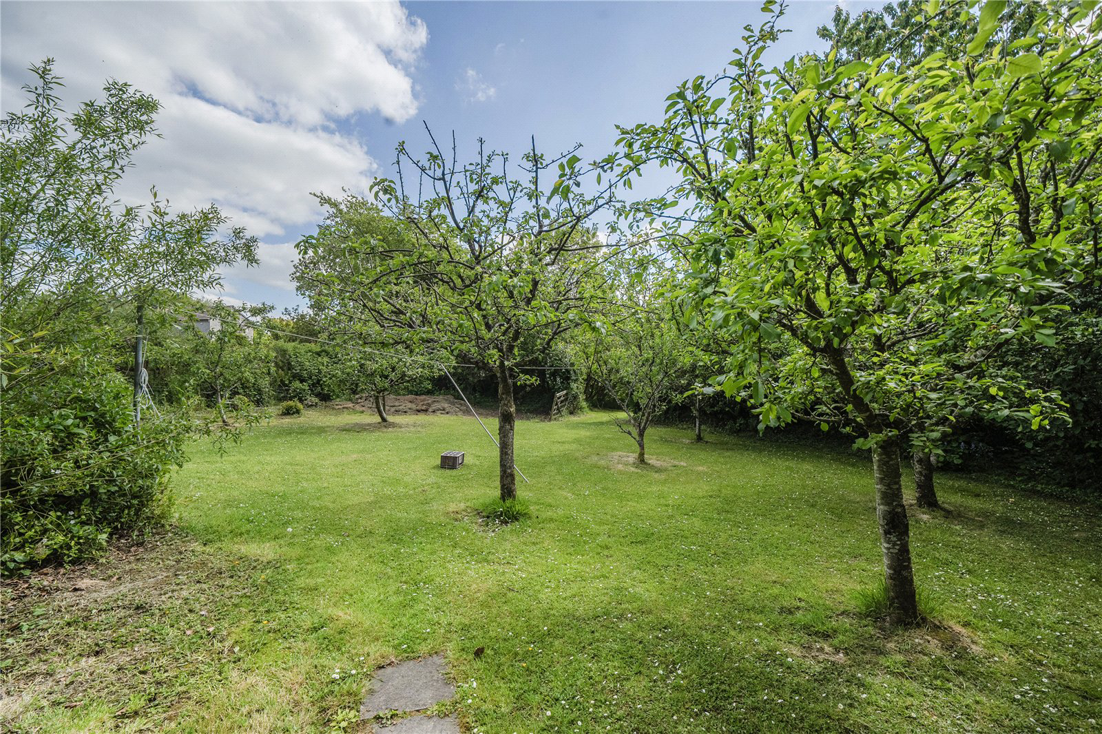 Pyworthy, Holsworthy, EX22, photo 27