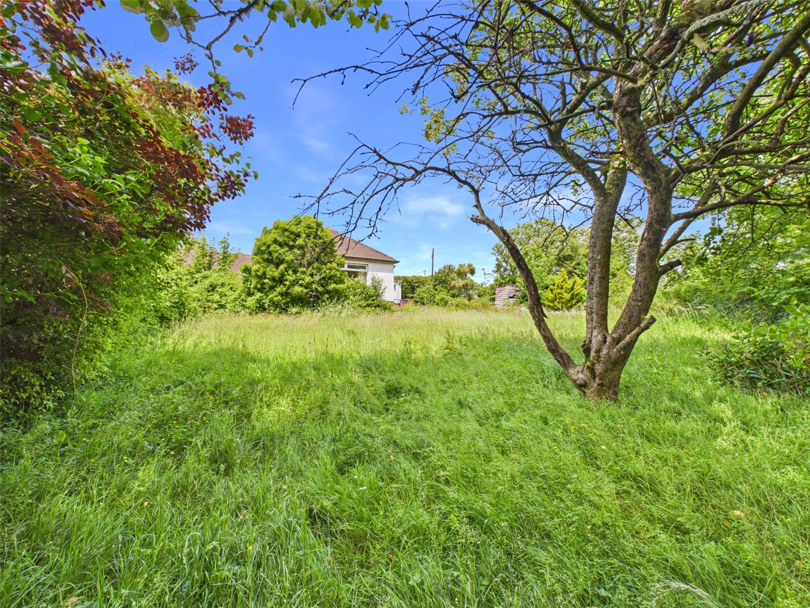 Stamford Hill, Stratton, Bude, Cornwall, EX23, photo 10