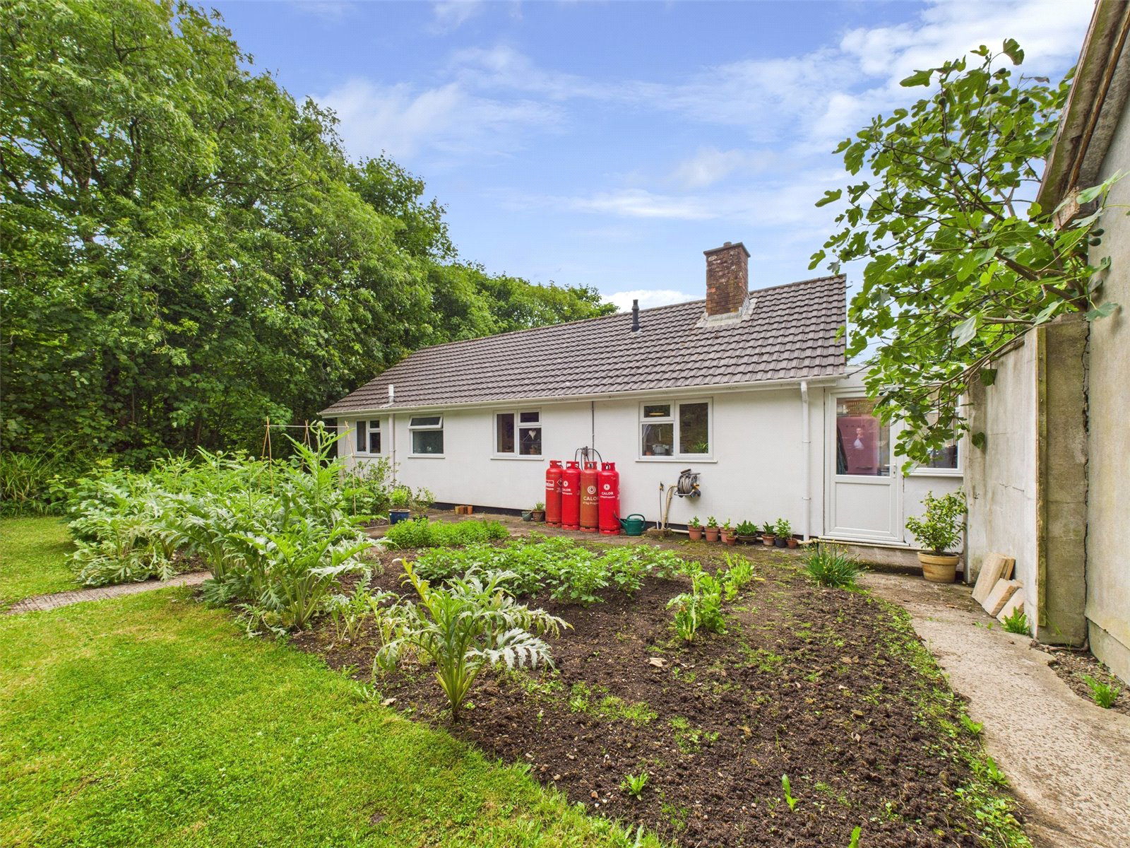 Moreton Lane, Grimscott, Bude, Cornwall, EX23, photo 15