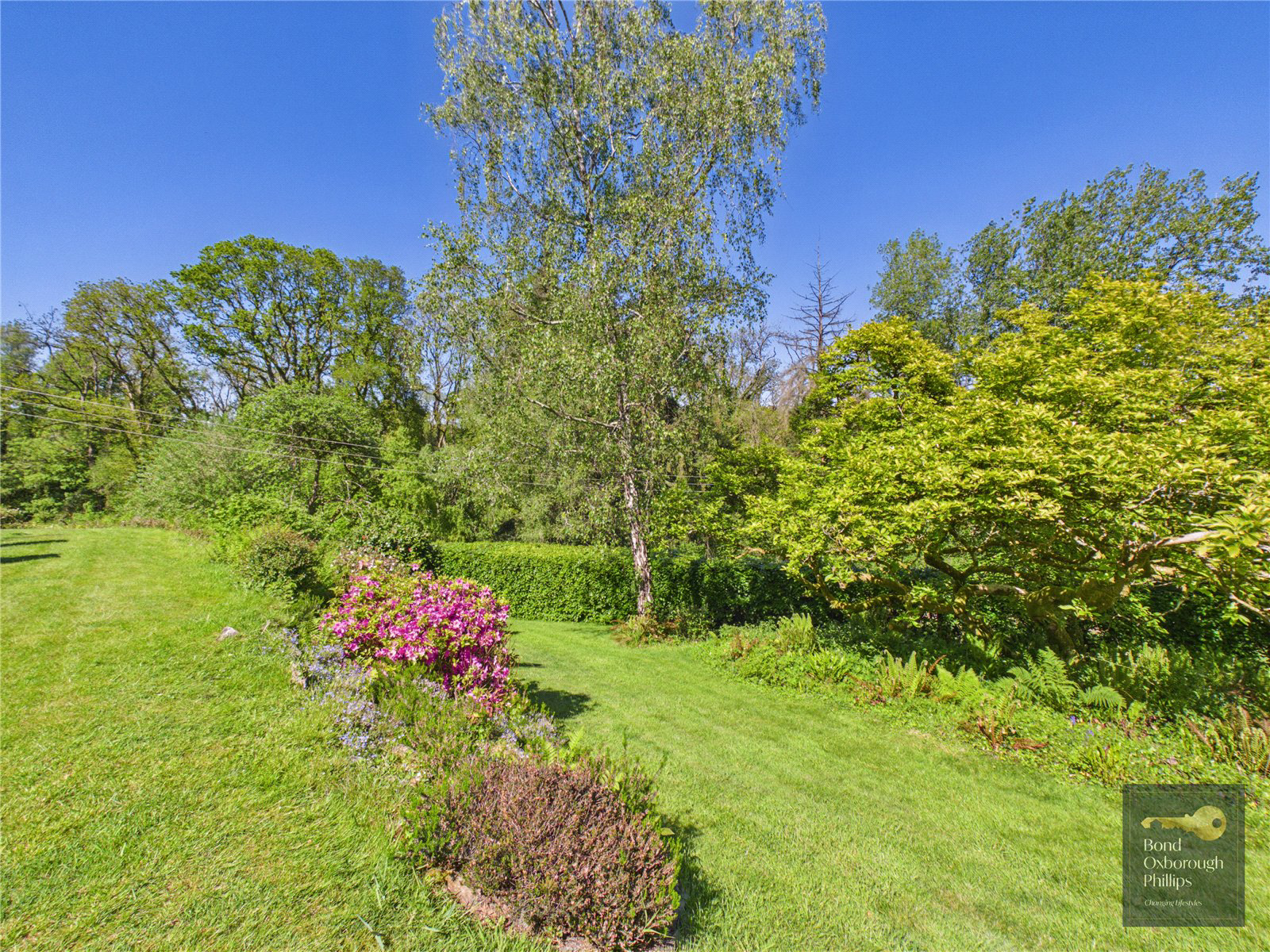 Torrington, Devon, EX38, photo 66
