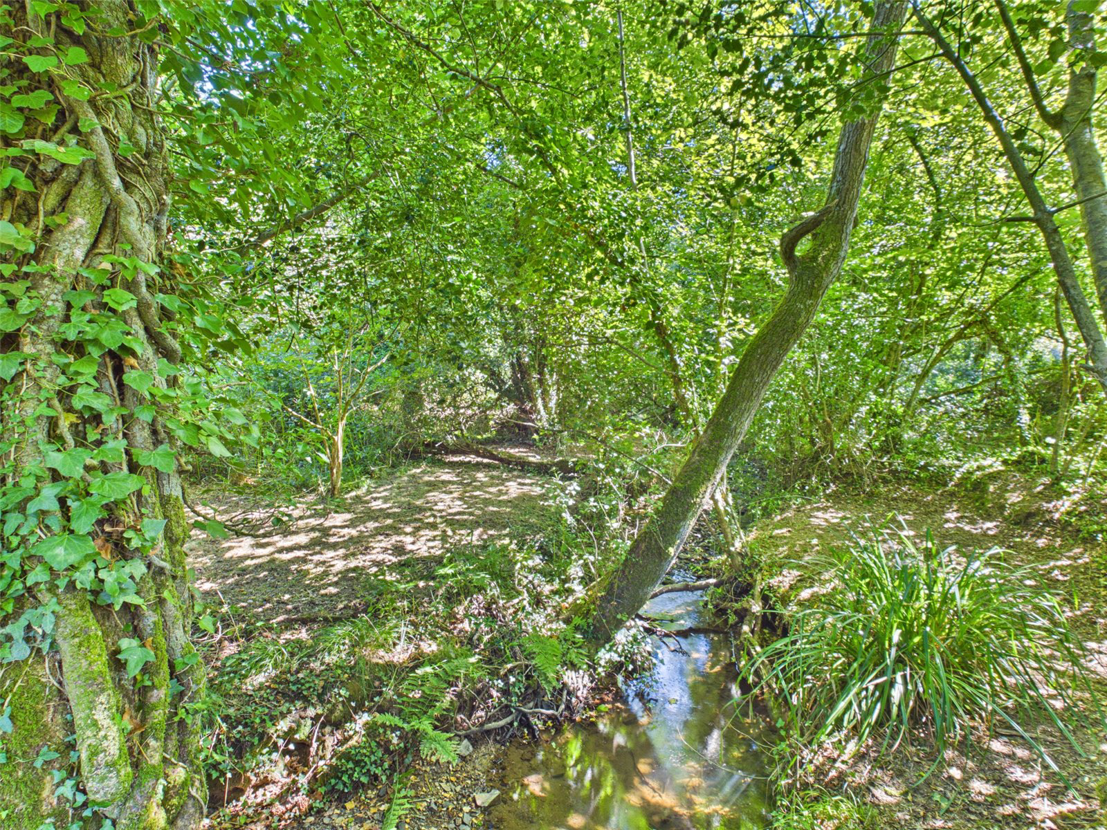 Lewdown, Okehampton, Devon, EX20, photo 27