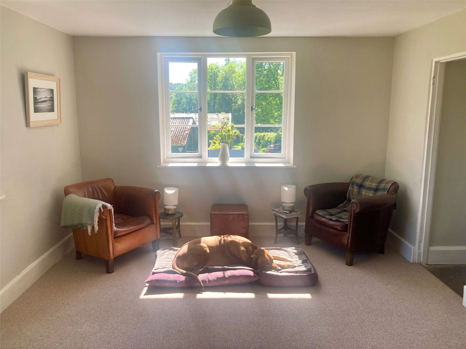 Buckland Filleigh, Beaworthy, Devon, EX21, photo 7