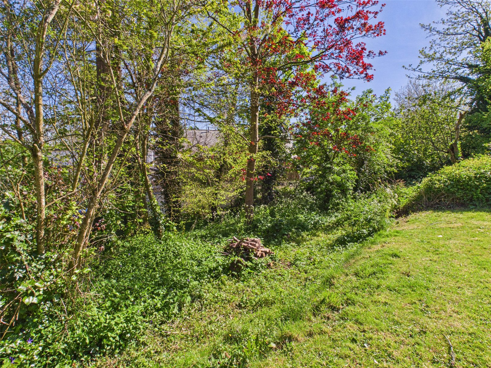 Poundfield Lane, Stratton, Bude, Cornwall, EX23, photo 20