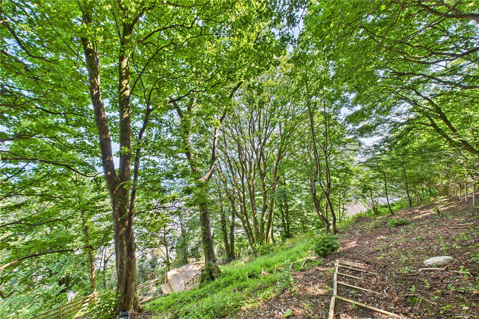 Sinai Hill, Lynton, Devon, EX35, photo 19