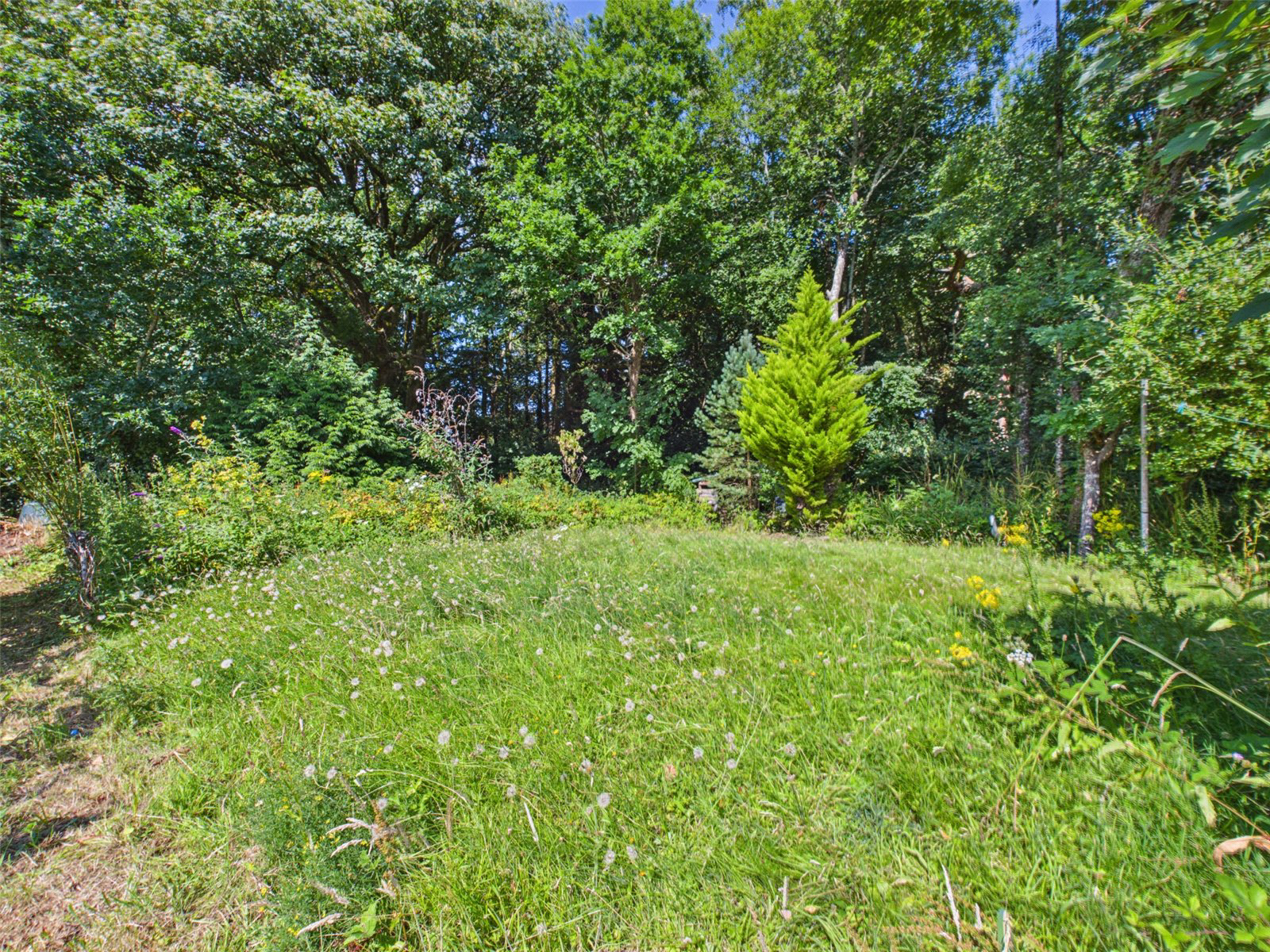 South Tawton, Okehampton, Devon, EX20, photo 11