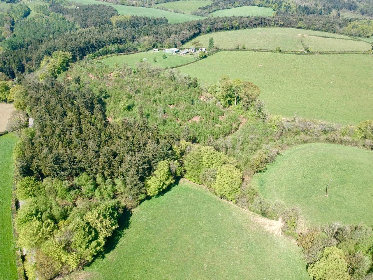 Buckland Filleigh, Beaworthy, Devon, EX21, photo 32