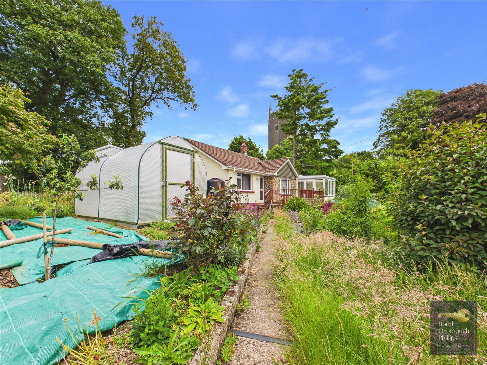 Little Torrington, Devon, EX38, photo 6