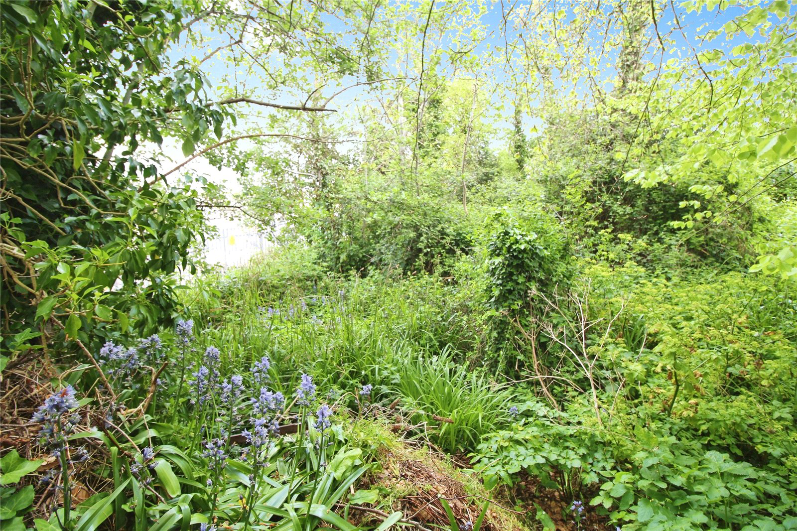 Norman Terrace, Northam, Bideford, Devon, EX39, photo 11