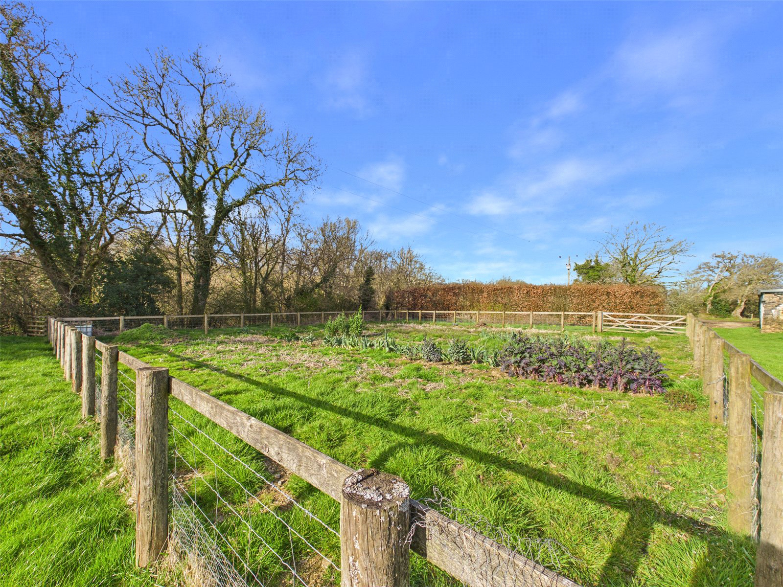 Hatherleigh, Okehampton, Devon, EX20, photo 32