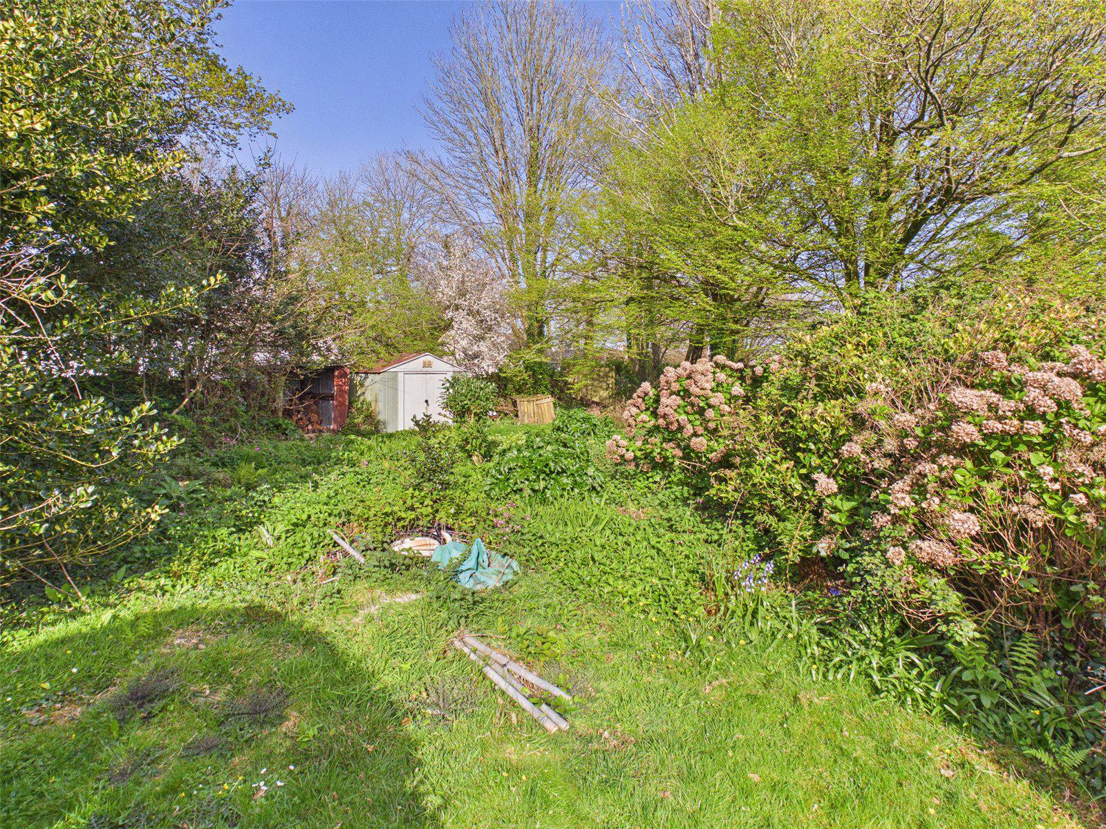 Wetherham Lane, St. Tudy, Bodmin, Cornwall, PL30, photo 19