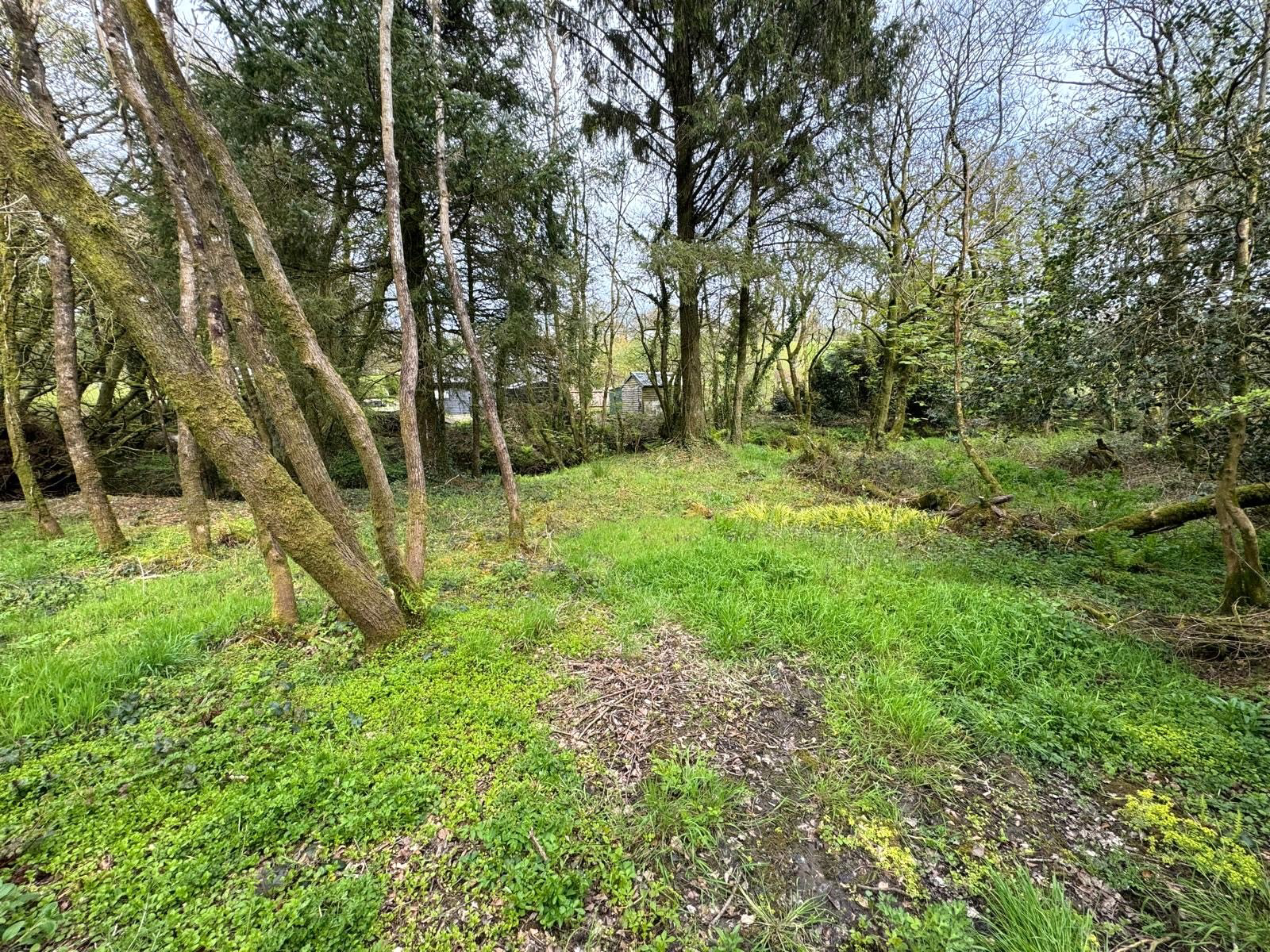 Bradworthy, Holsworthy, Devon, EX22, photo 9