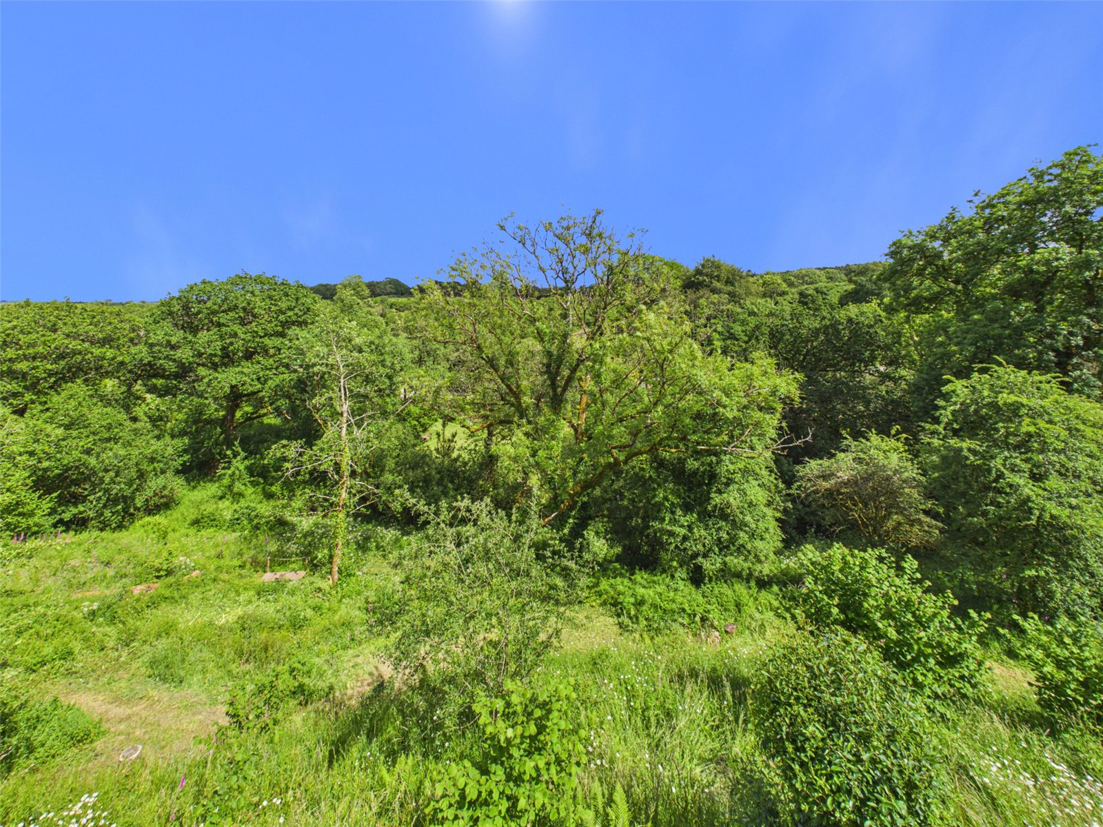Cookbury, Holsworthy, Devon, EX22, photo 22