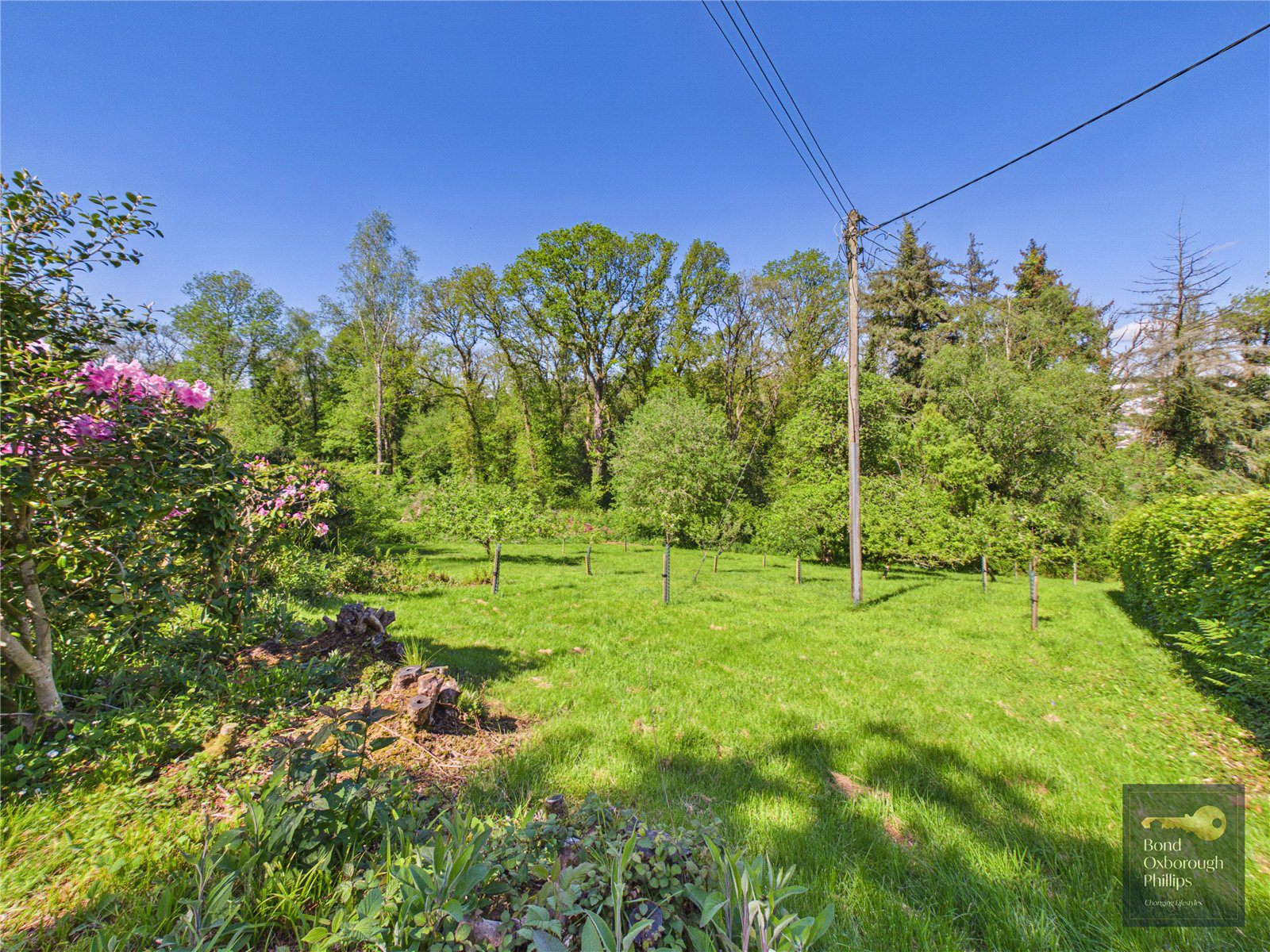 Torrington, Devon, EX38, photo 69