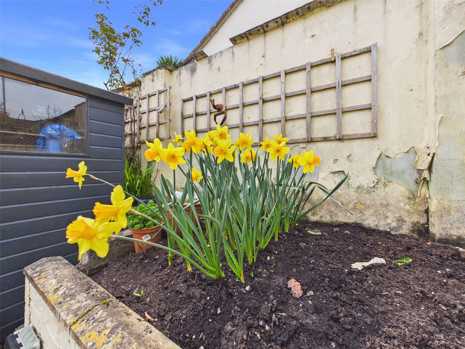 Higher Whiterock, Wadebridge, Cornwall, PL27, photo 22