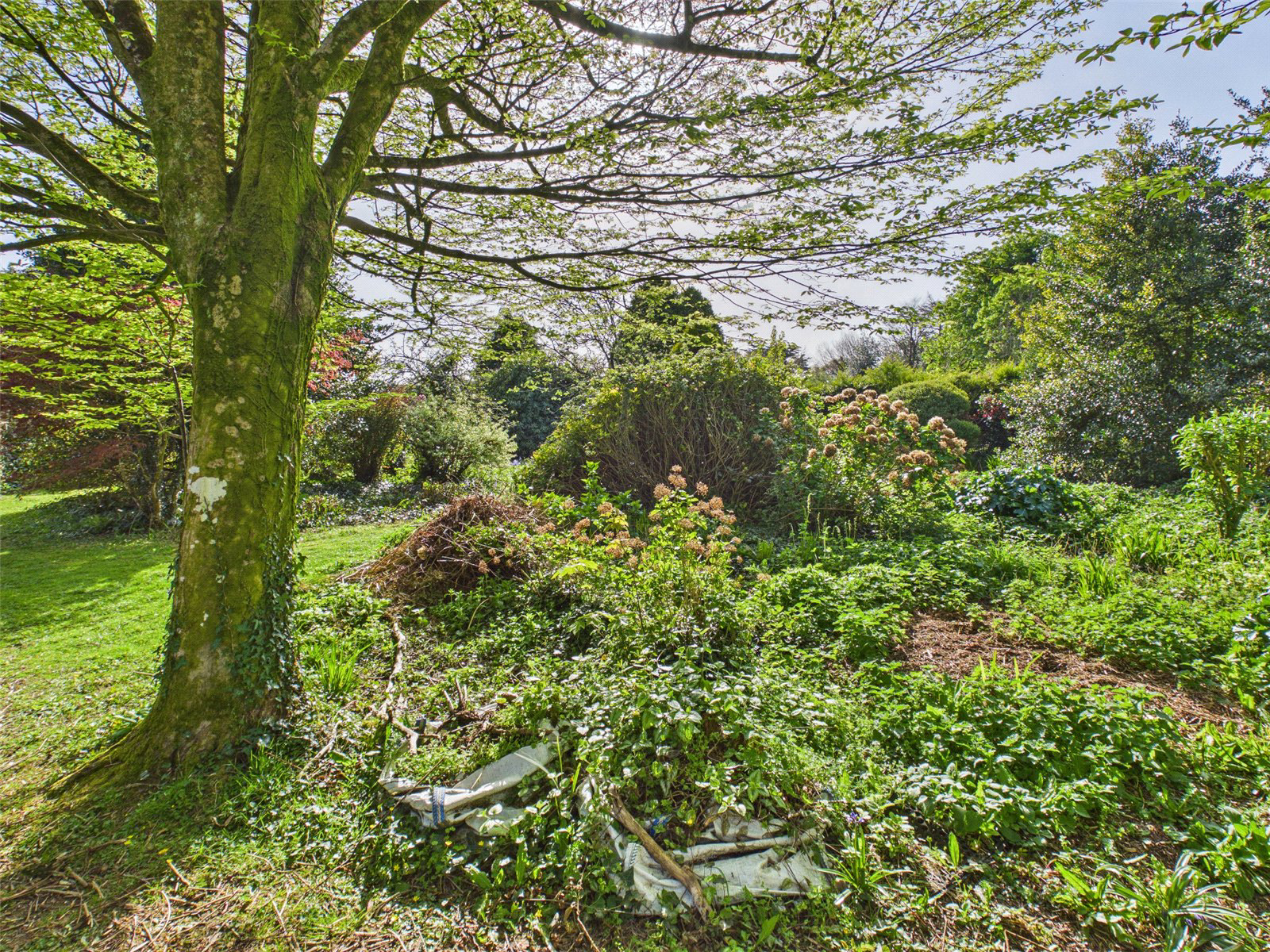 Wetherham Lane, St. Tudy, Bodmin, Cornwall, PL30, photo 20