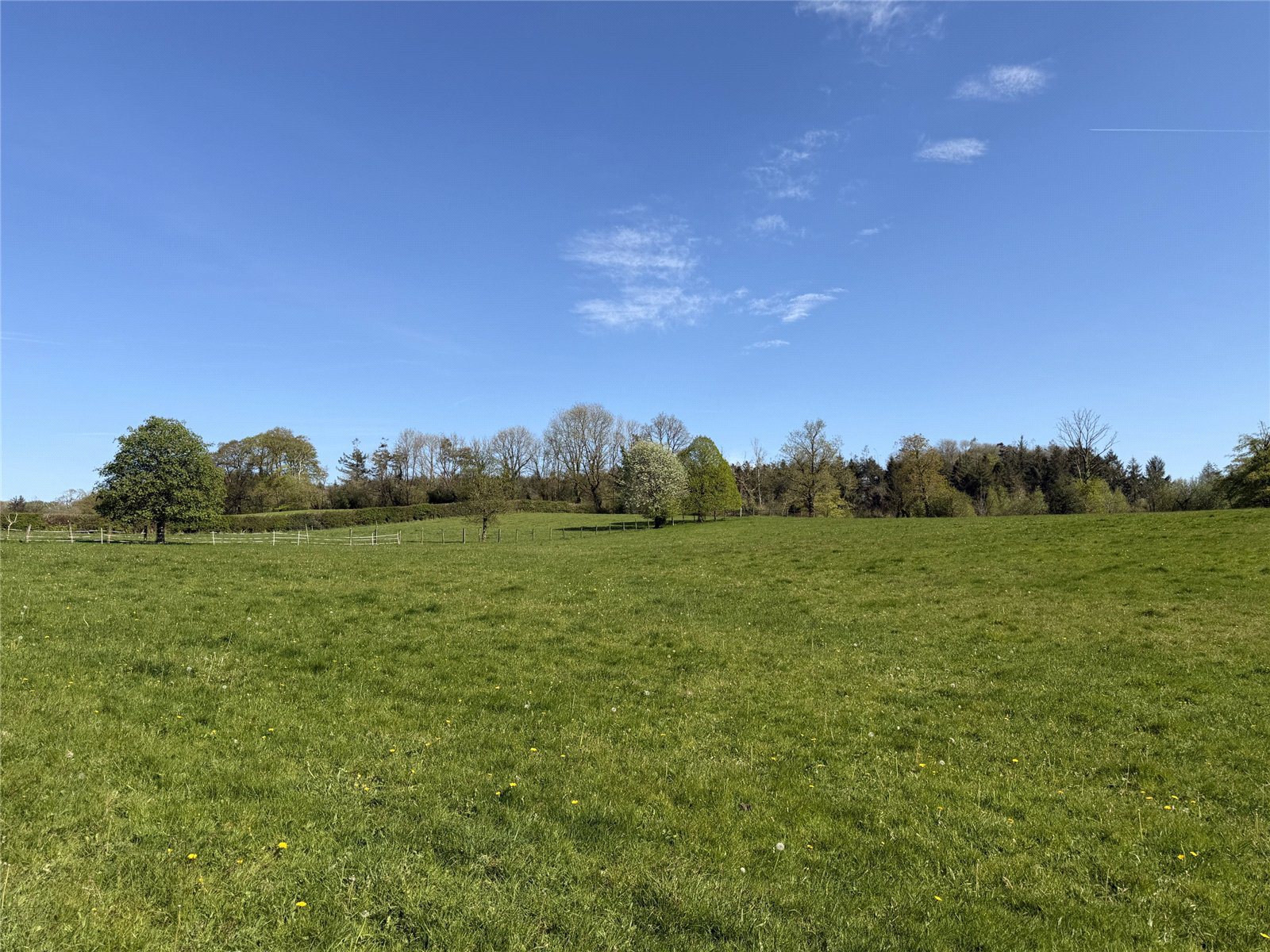 Buckland Filleigh, Beaworthy, Devon, EX21, photo 22