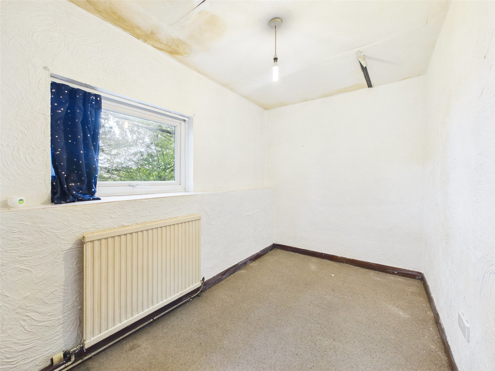 Newton St. Petrock, Holsworthy, Devon, EX22, photo 14