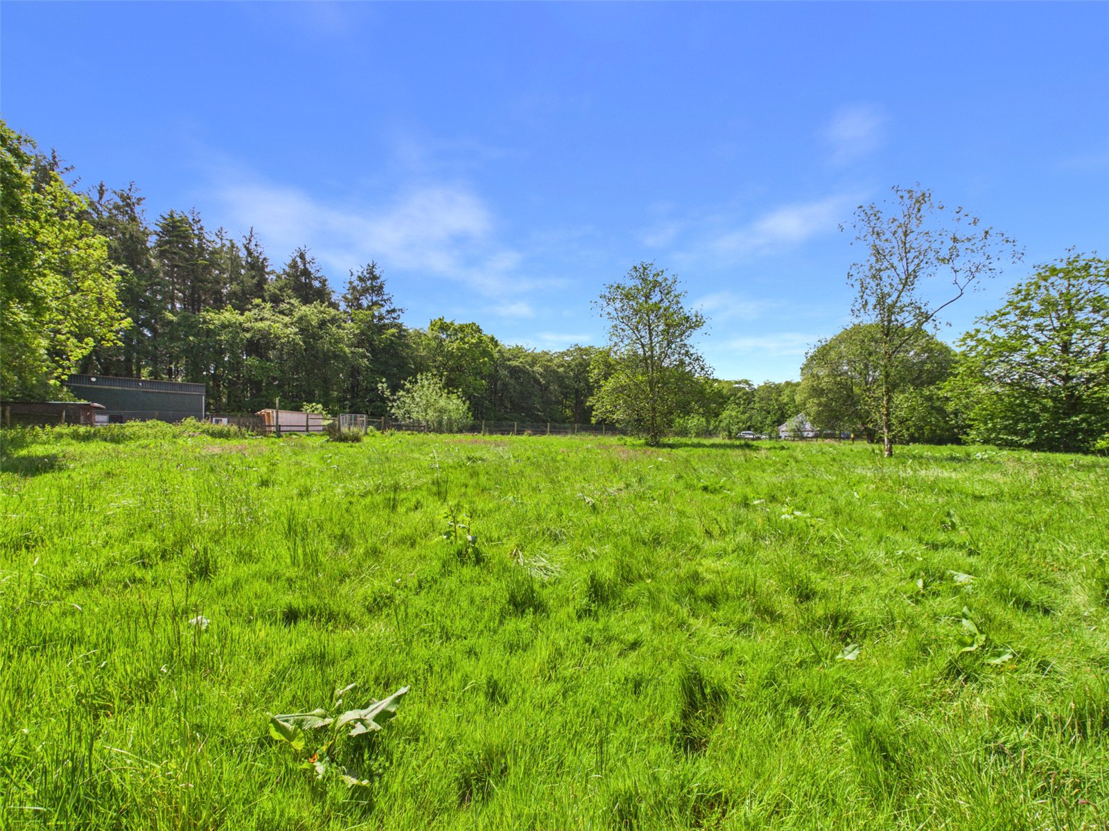 Brandis Corner, Holsworthy, Devon, EX22, photo 36