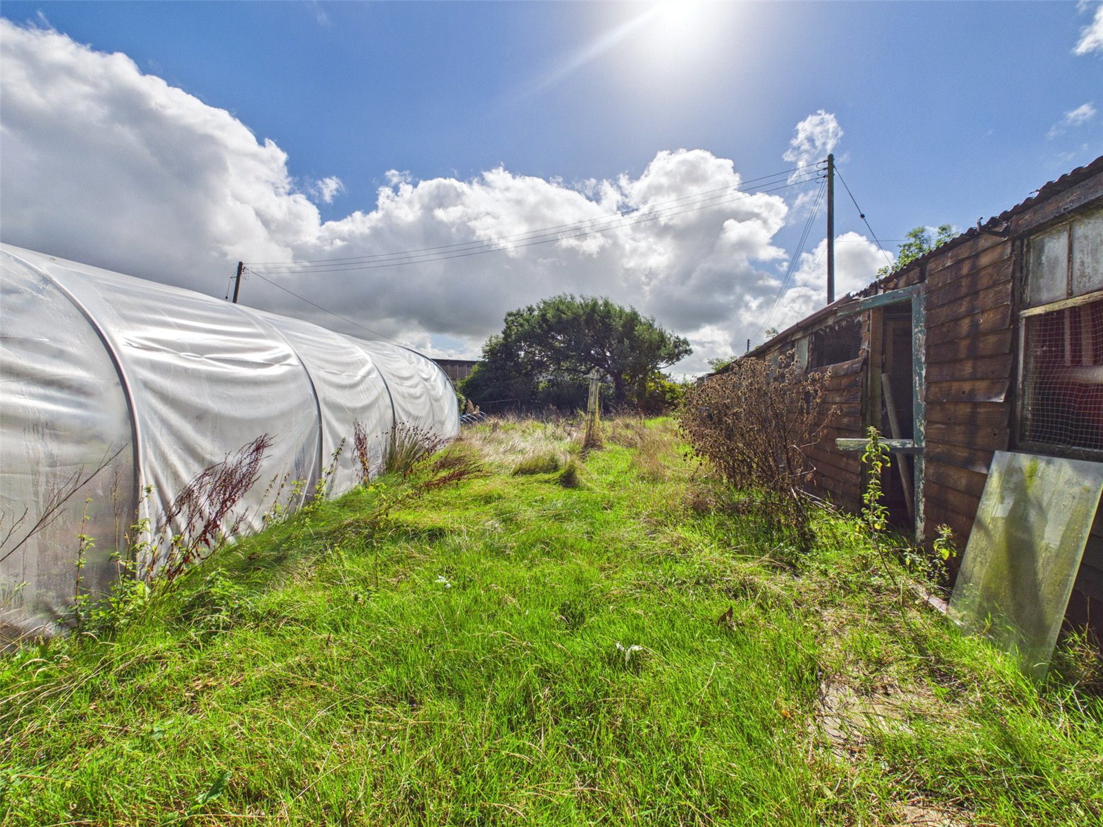 Western Side, Clawton, Holsworthy, Devon, EX22, photo 18