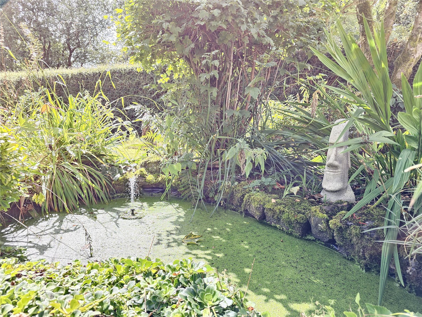 High Bolham, Oakford, Tiverton, Devon, EX16, photo 40