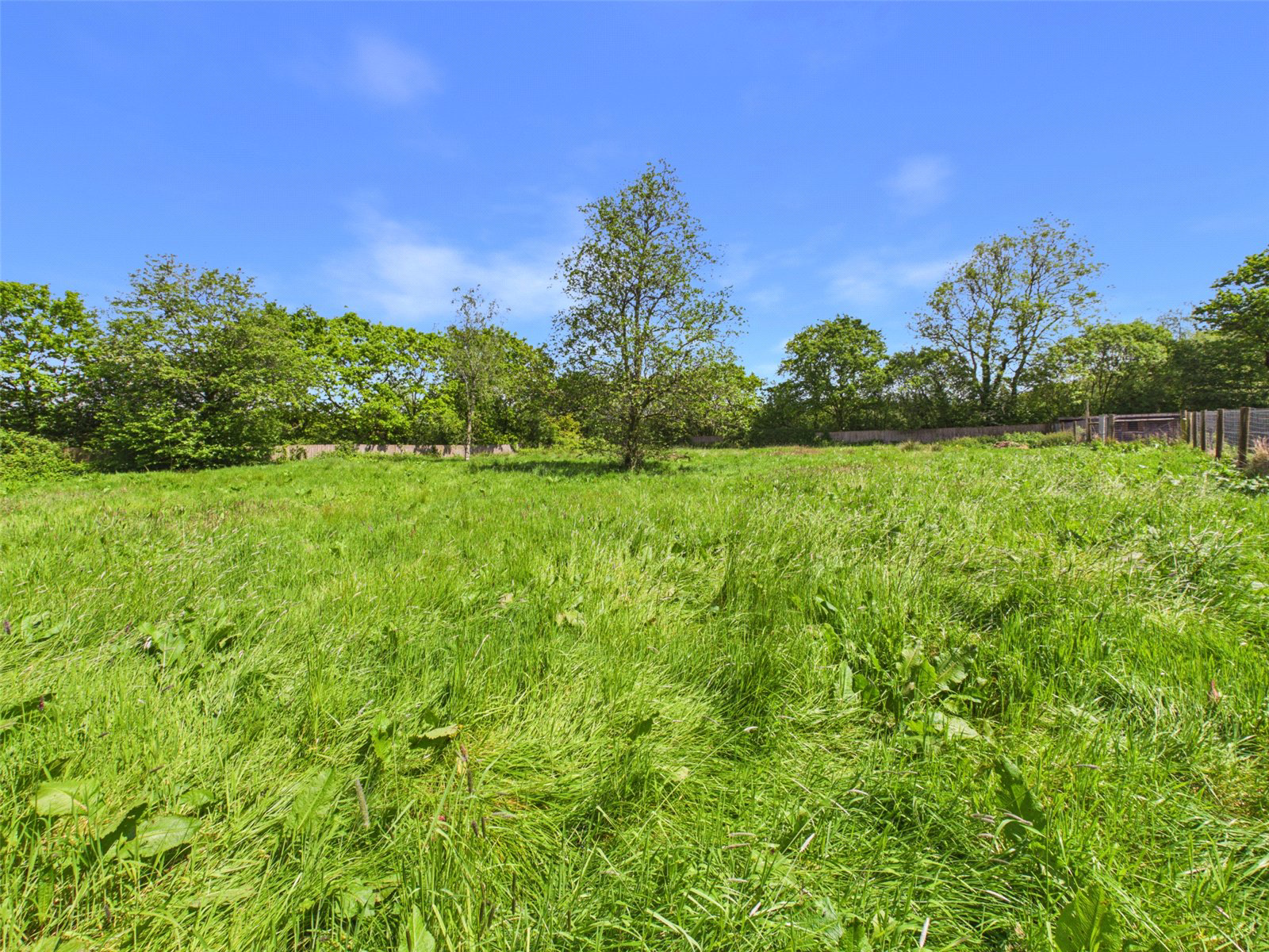 Brandis Corner, Holsworthy, Devon, EX22, photo 38