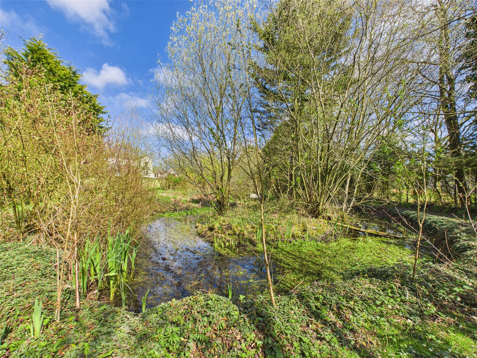 Thurdon, Kilkhampton, Bude, Cornwall, EX23, photo 25