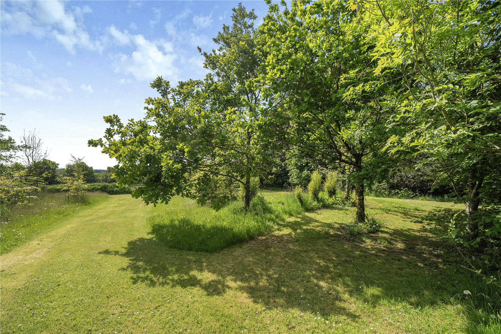 Pyworthy, Holsworthy, EX22, photo 25