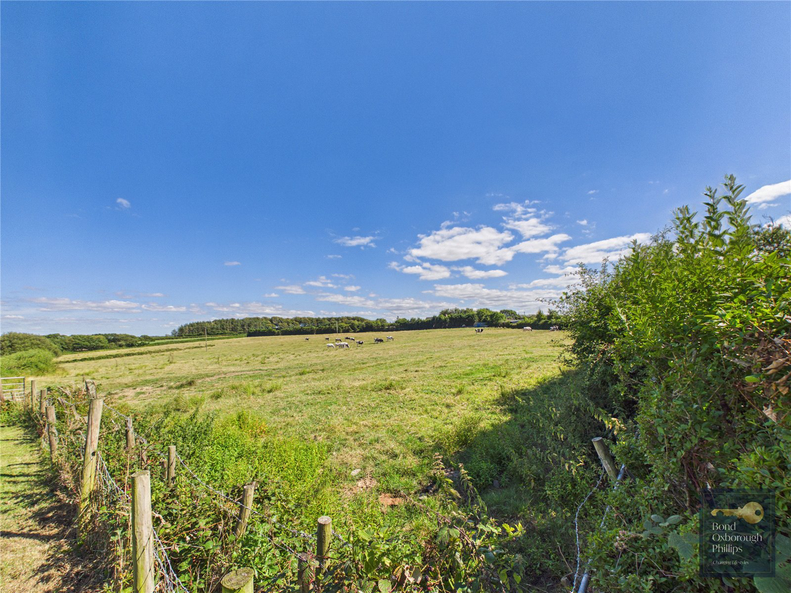 Shebbear, Beaworthy, Devon, EX21, photo 26