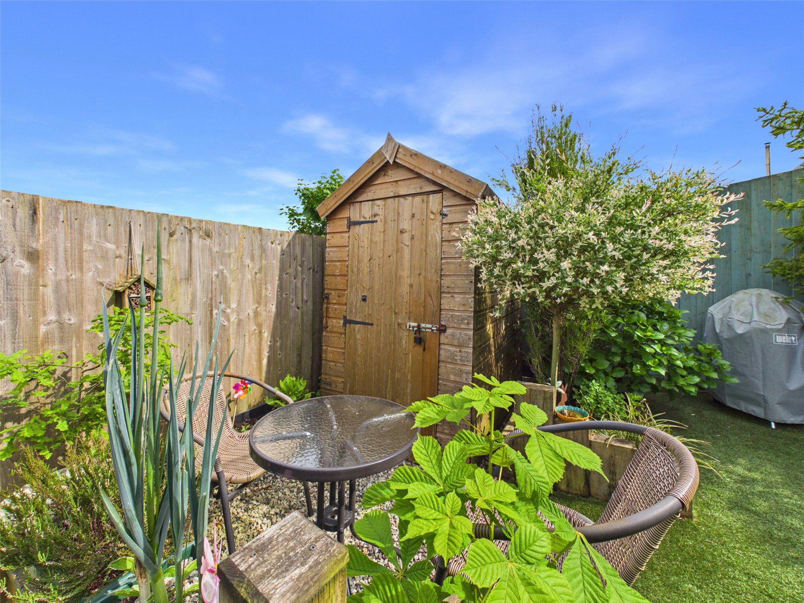 Belle Vue Close, Holsworthy, Devon, EX22, photo 21
