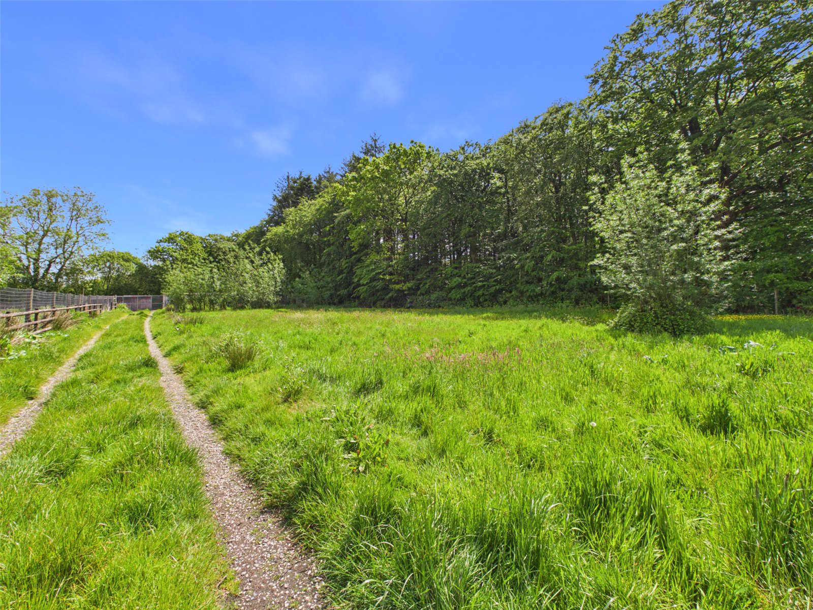 Brandis Corner, Holsworthy, Devon, EX22, photo 34