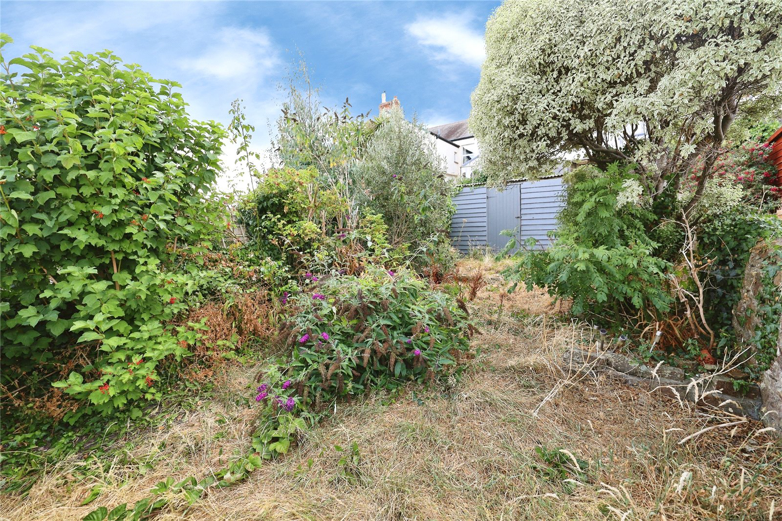 Elm Grove, Bideford, Devon, EX39, photo 11