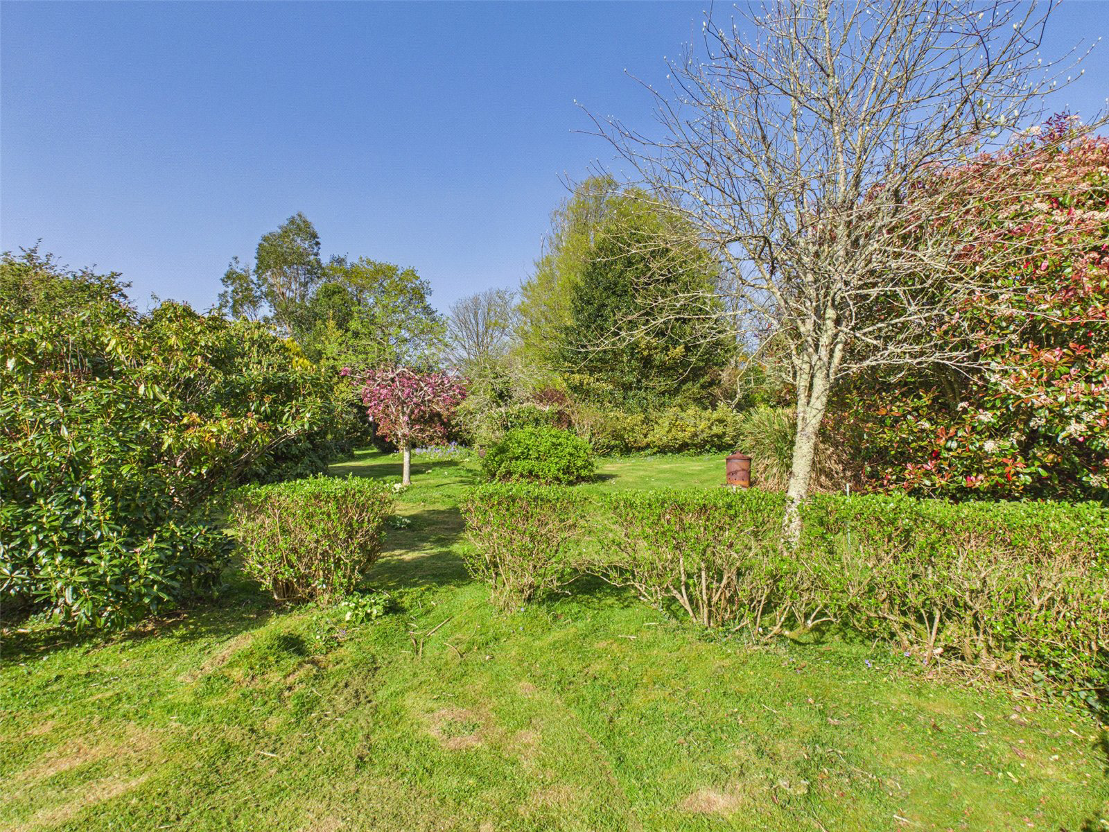Wetherham Lane, St. Tudy, Bodmin, Cornwall, PL30, photo 16