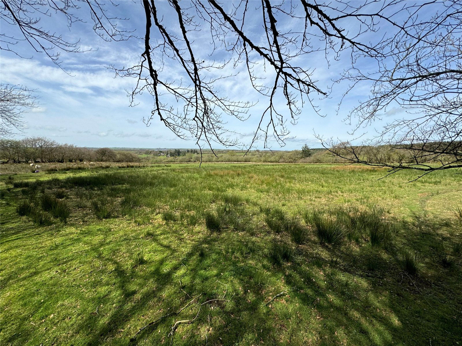 Ashwater, Beaworthy, Devon, EX21, photo 33