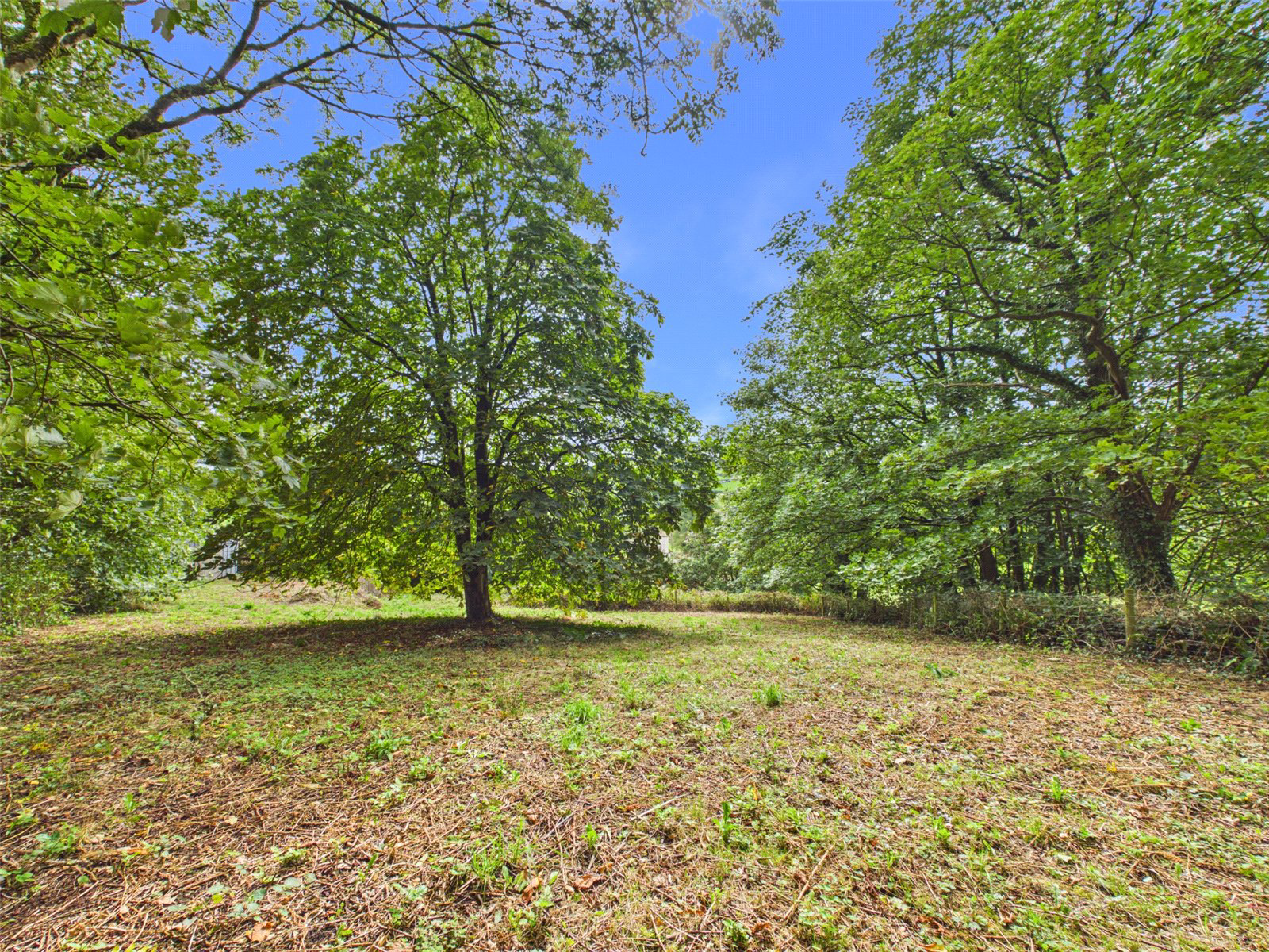 Newton St. Petrock, Holsworthy, Devon, EX22, photo 17