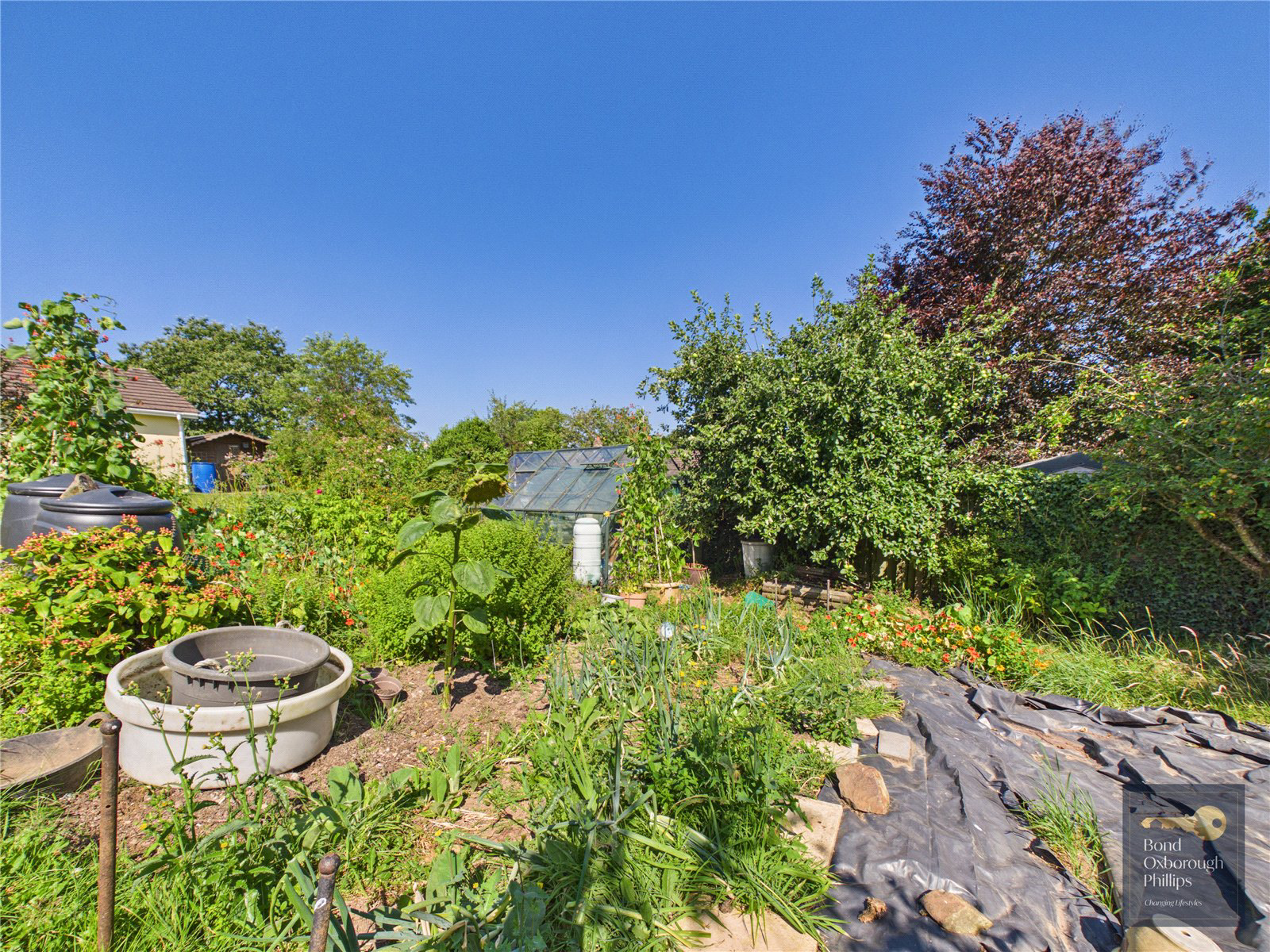 Petrockstowe, Okehampton, Devon, EX20, photo 25