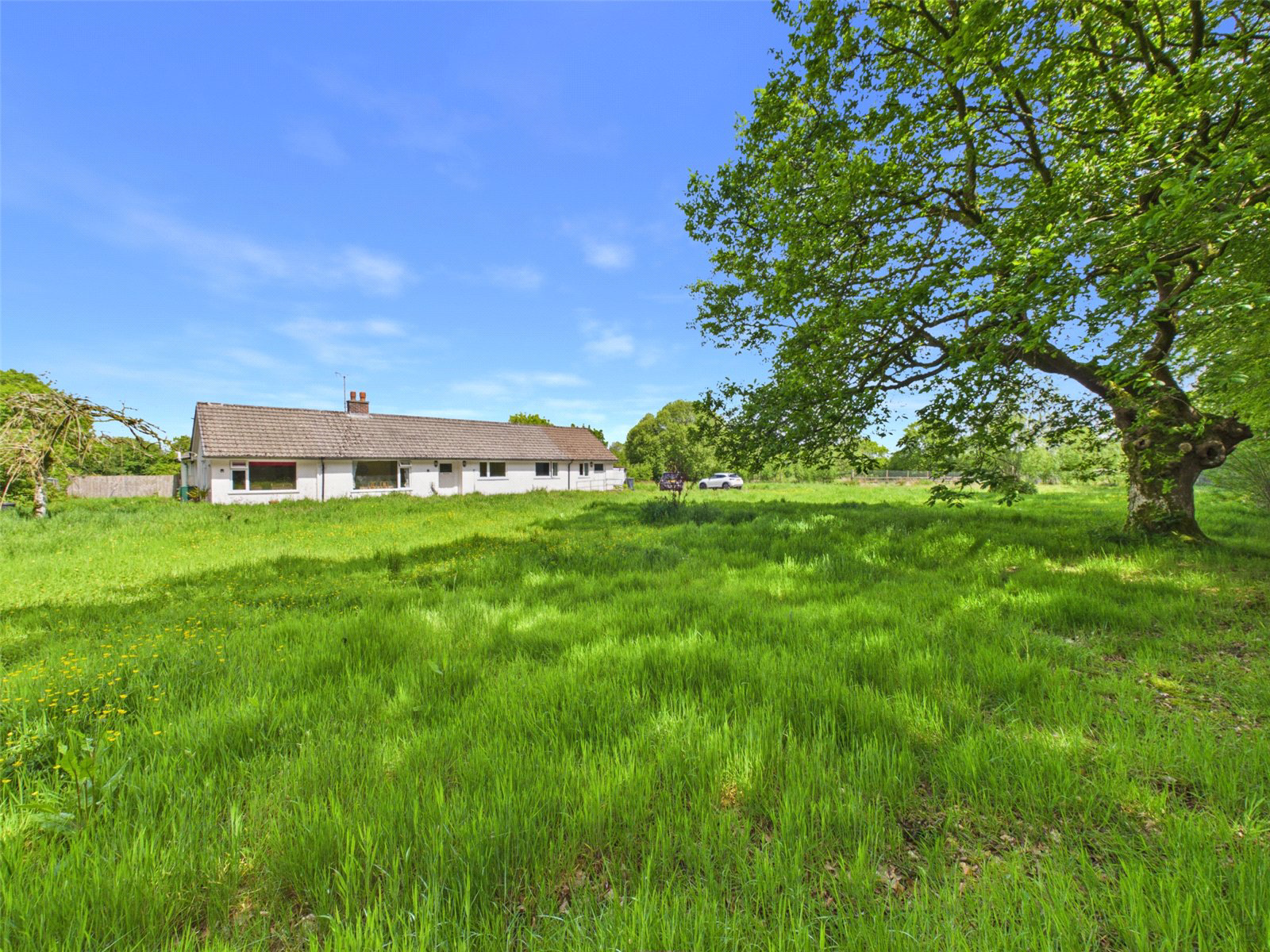 Brandis Corner, Holsworthy, Devon, EX22, photo 26