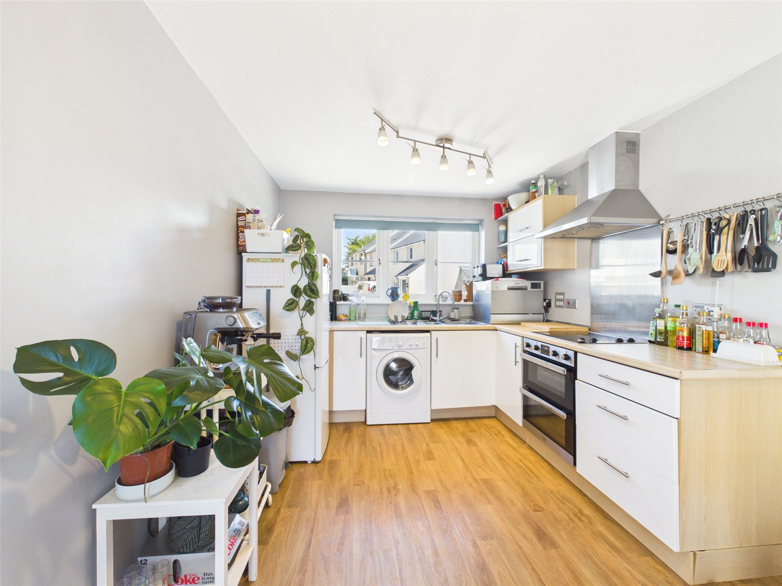 Ackland Close, Shebbear, Beaworthy, Devon, EX21, photo 4